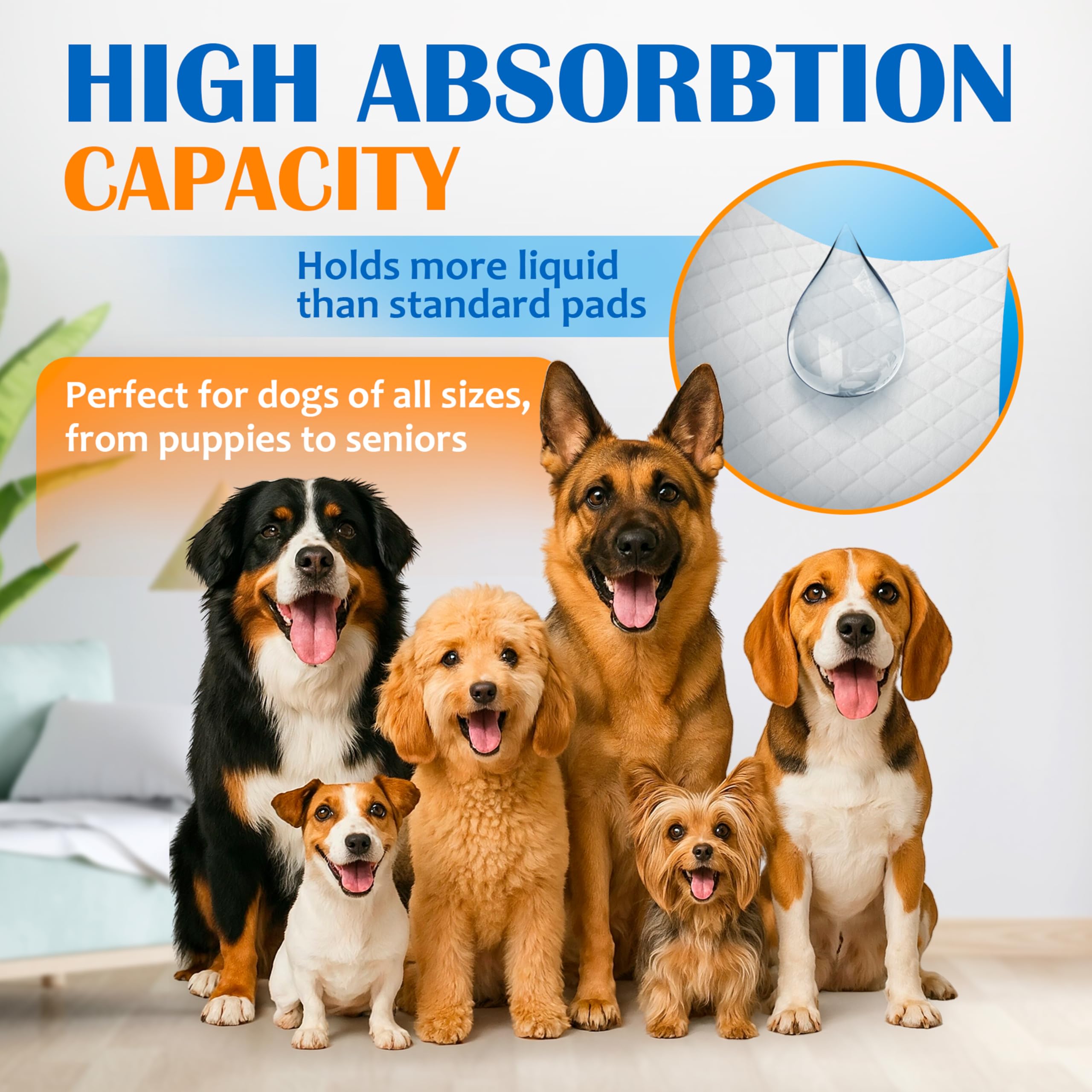 Paws & Claws Pet Supplies - Almohadillas para orina de perro, tamaño grande, 28 x 30 pulgadas, 40 unidades, 6 capas a prueba de fugas, súper absorbentes, capacidad para 8 tazas, protección las 24