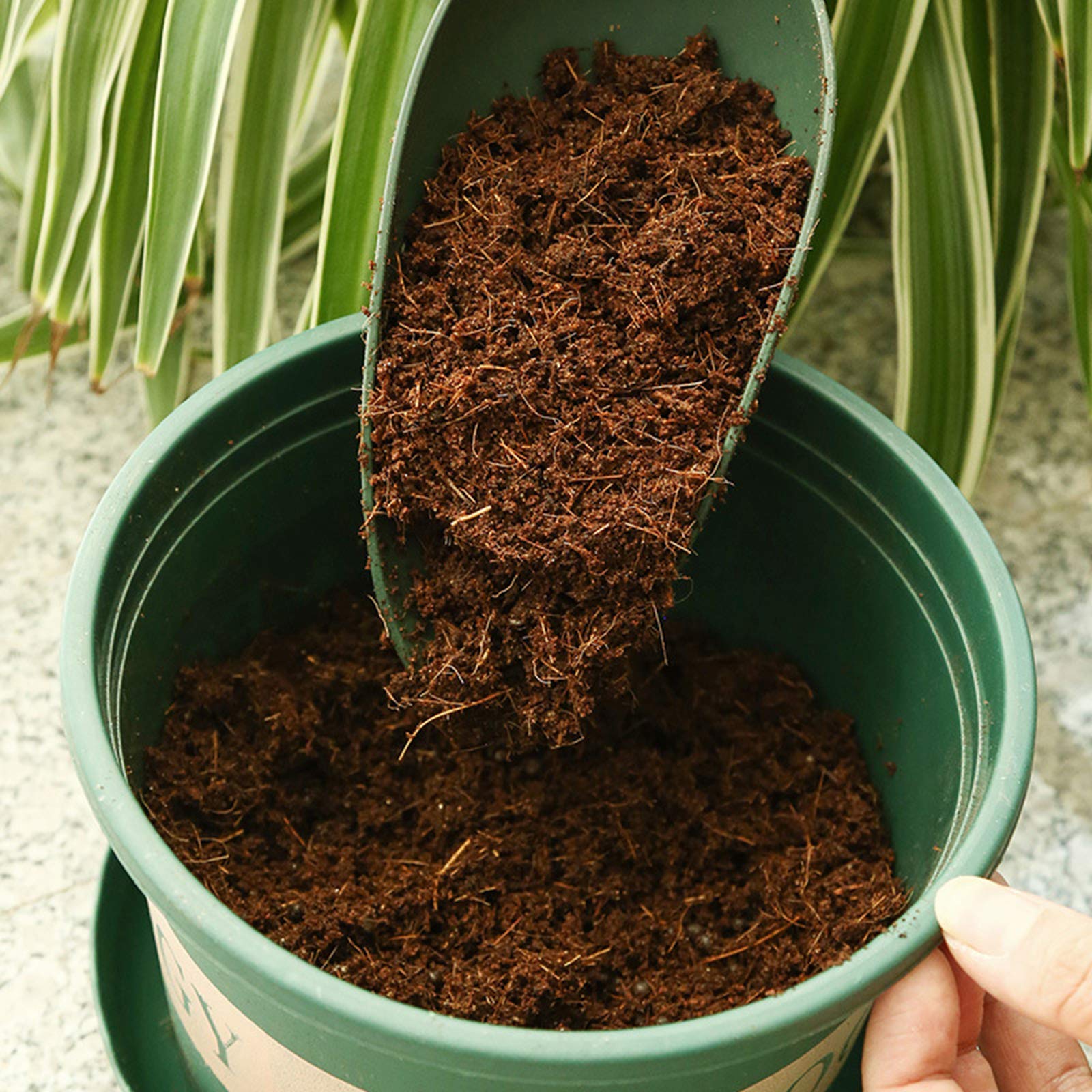 Sprasowana ziemia doniczkowa z włókna kokosowego, granulki startowe, ziemia kokosowa do bonsai, ziół, roślin, kwiatów i warzyw (60–10 szt.)