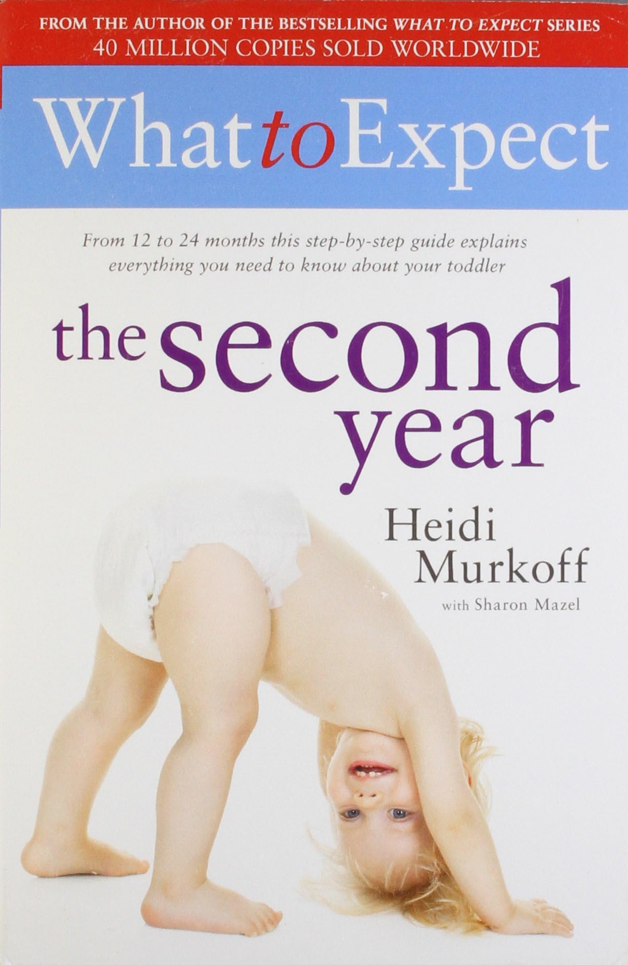 WHAT TO EXPECT: THE SECOND YEAR Paperback – 1 January 2011