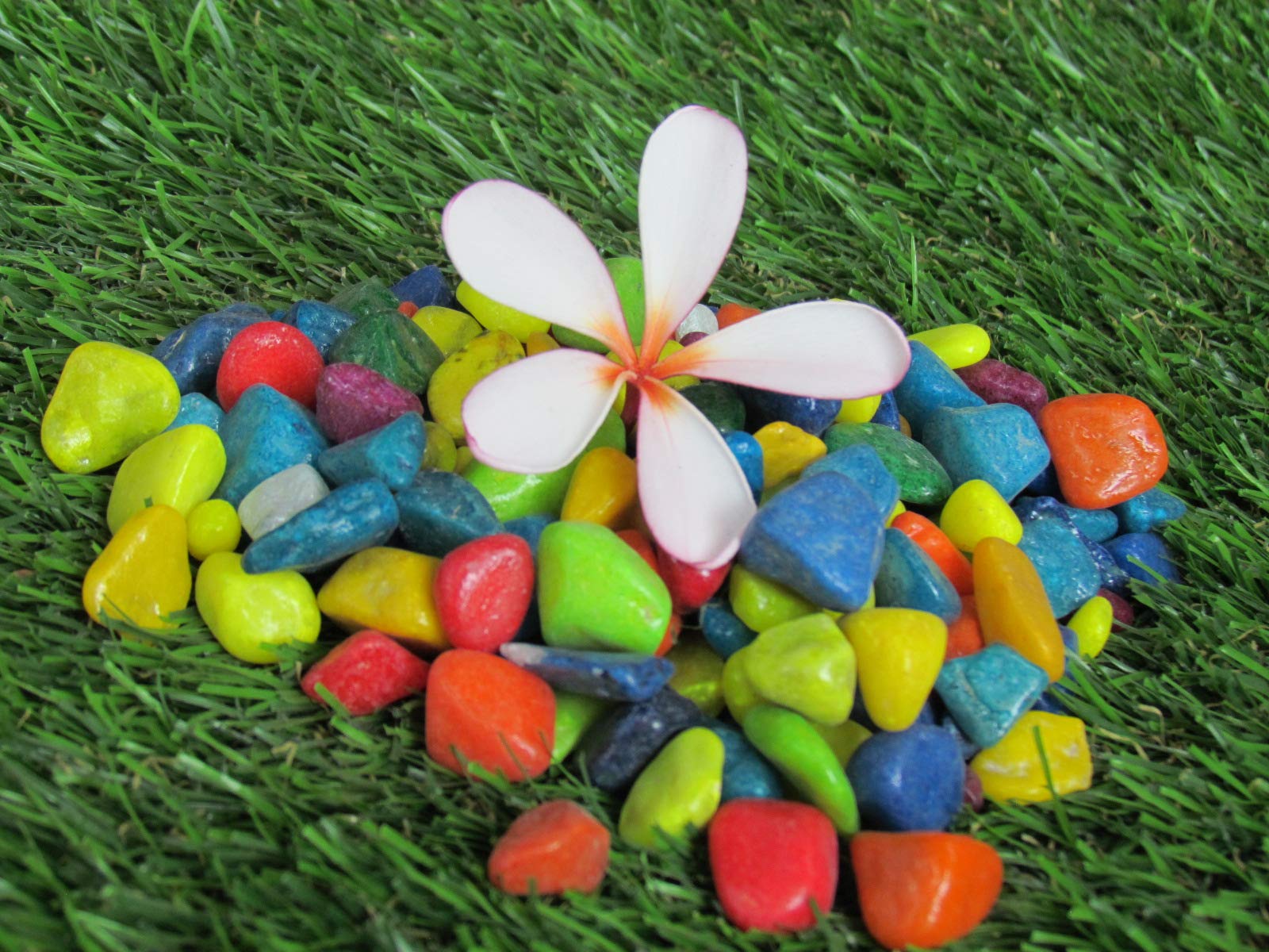Garden Art Pebbles for Home Decor (2 KG, Multicolour, 1)-image-8