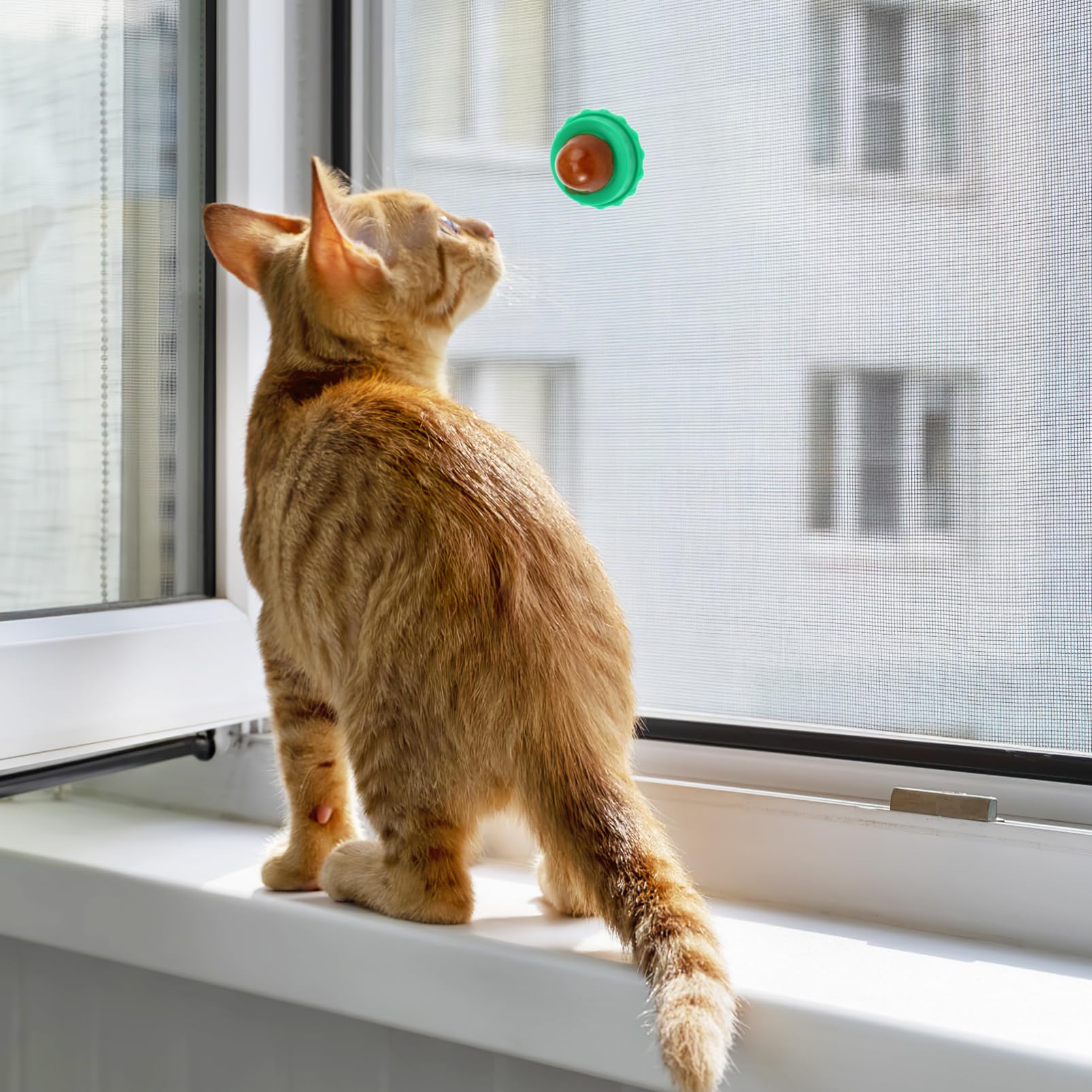 3 Set di Dolcetti per Animali Domestici di Snack per Gatti Che Leccano Caramelle Pesce Colla 10 Pezzi * 3
