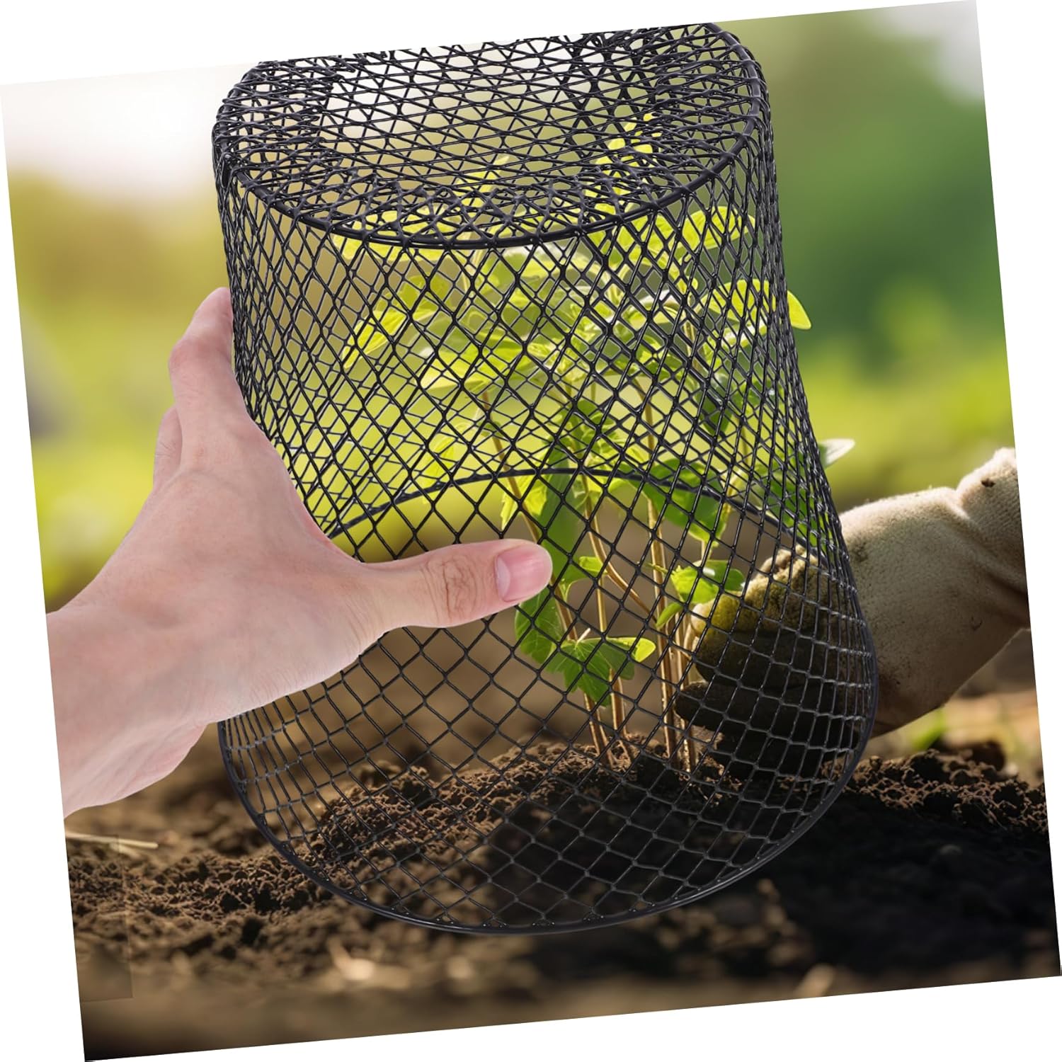 HANABASS Chicken Wire Cloche Plant Covers 4pcs Garden Netting Metal Heavy Duty Mesh Plant Cage Protectors from Animals for Keeping Bunny Chicken Squirrels Birds Other Out