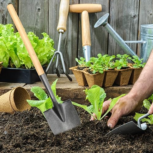 Miniatura 5 de GANAZONO 4 piezas de mango de pala de madera dura mangos de madera para paisajismo de hoces mango de reemplazo para palas de jardín carbón de ceniza