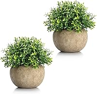 Vista 11 de Velener Mini Plantas Artificiales de Boj Topiario en Maceta Verde Salvia para Decoración del Hogar Interior, Planta Estilo Granja para Casa Oficina