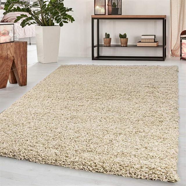 Abaseen Small Large Shaggy Rug Modern Rugs Living Room Extra Large Small Medium Rectangular Size Soft Touch Thick Pile Living Room Area Rugs Non Shedding (60x110 cm, Light Beige)