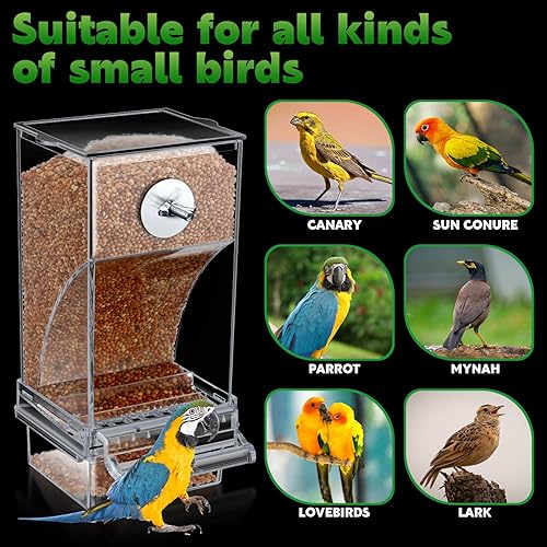 Miniatura 7 de Yaomiao 4 unidades de comederos para pájaros sin ensuciar, dispensador automático de agua para loros, alimentador de codornices transparente y