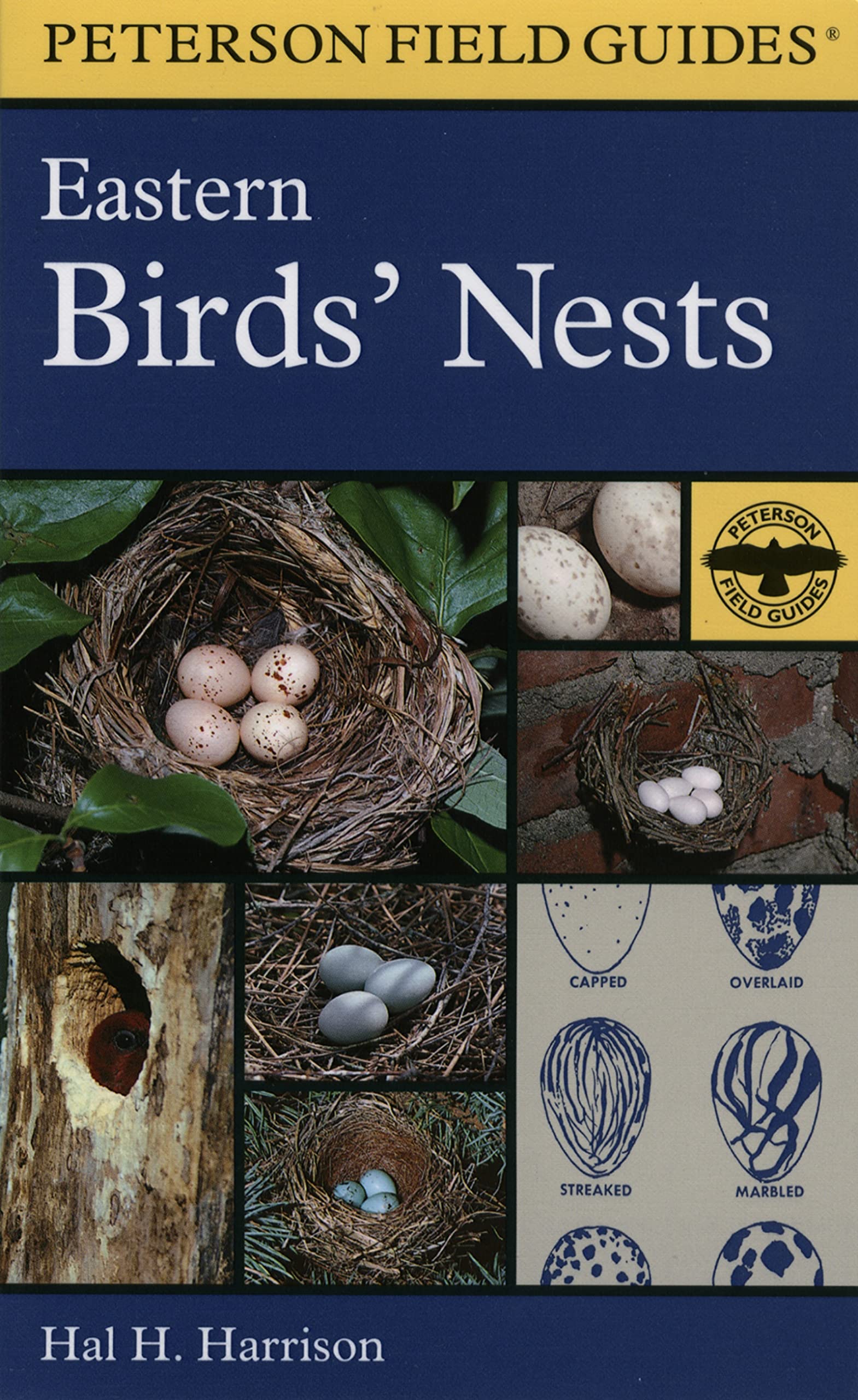 Peterson Field Guide: Eastern Birds' Nests Paperback – September 15, 1998