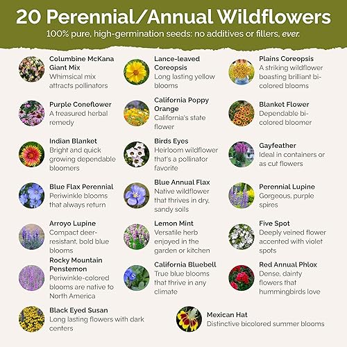 Miniatura 3 de Eden Brothers North American - Semillas mixtas de flores silvestres nativas para plantar, 14 libras, más de 120,000 semillas con ojos de pájaro,