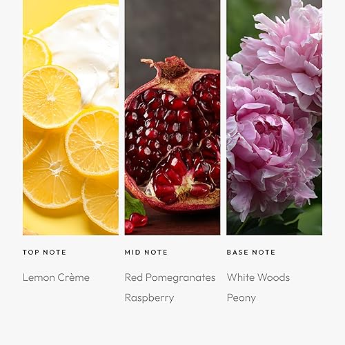 Miniatura 4 de Aroma360 El aceite aromático Tabú más dulce para difusor de aromas 169fl oz