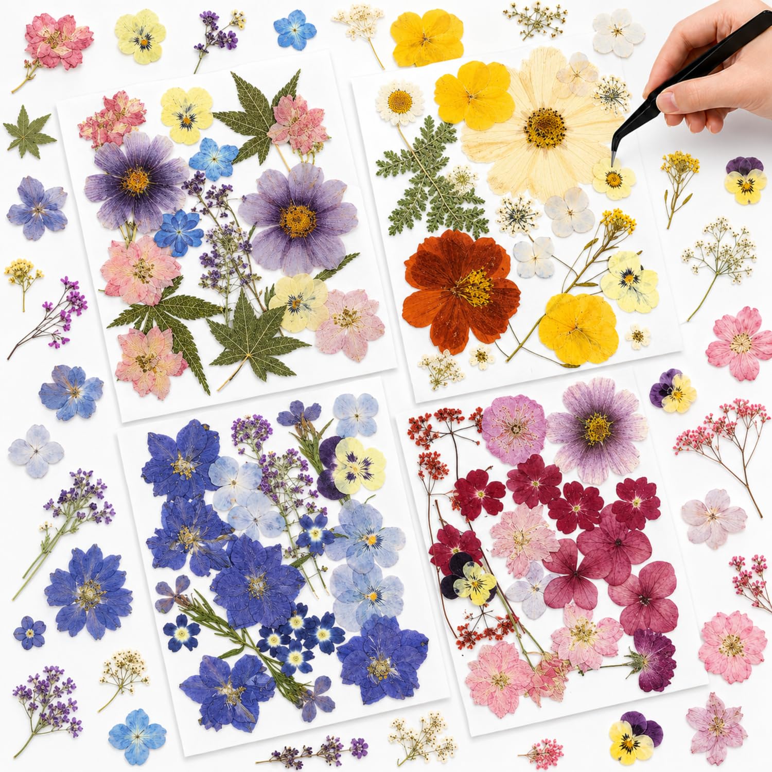 Nuanchu Natural Real Dried Pressed Flowers for Craft Resin DIY