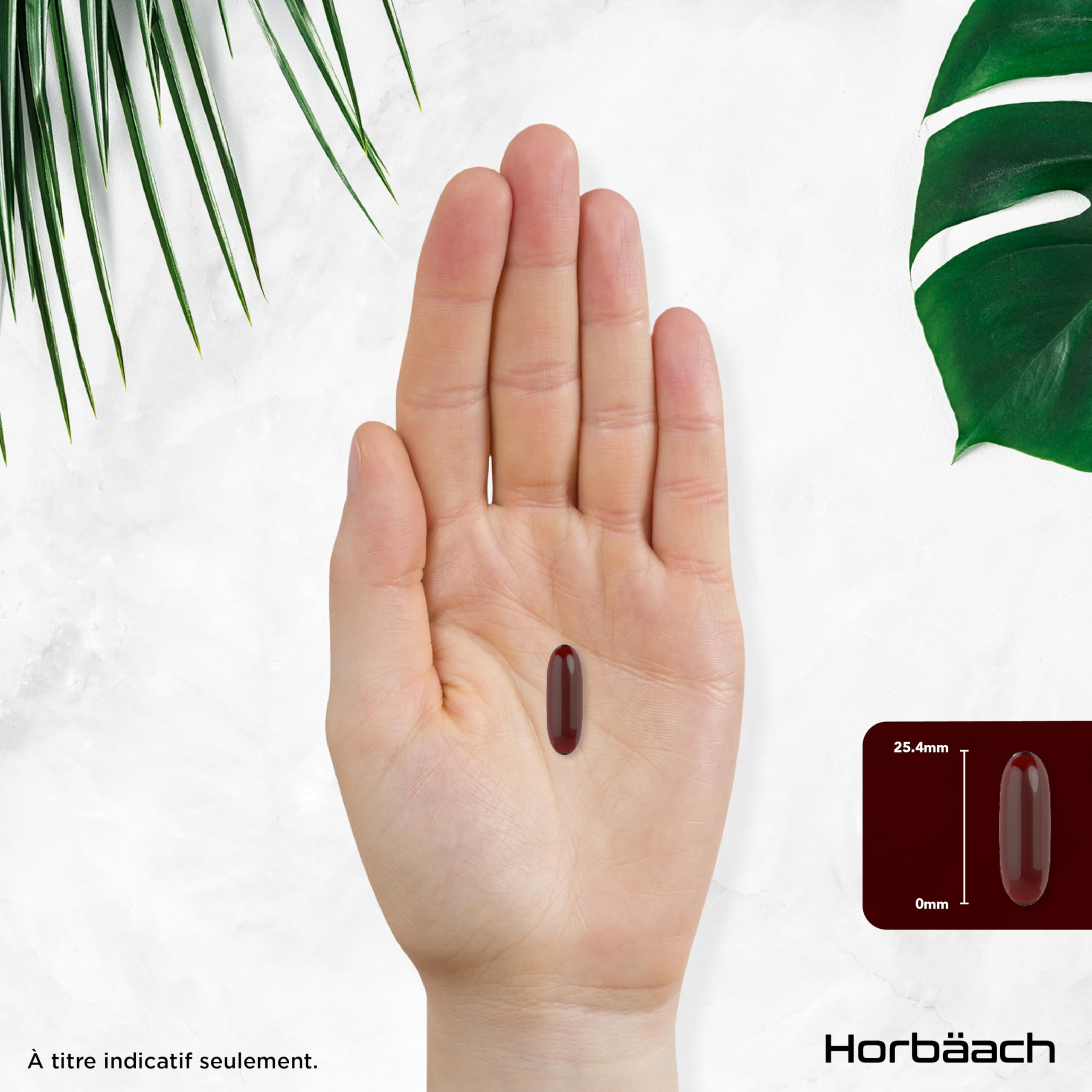 Huile de Krill 2000mg avec Astaxanthine et Phospholipides | 120 Gélules | Acides Gras Oméga 3 avec EPA et DHA | Complément Alimentaire Huile de Poisson | Antarctic Krill Oil Supplement | Horbaach