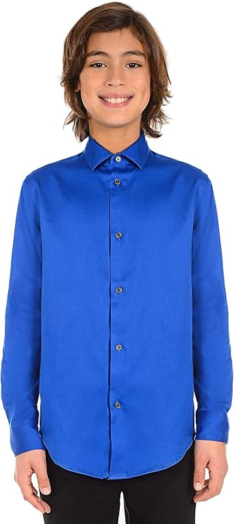 Calvin Klein Kids Sateen Shirt (Big Kids)