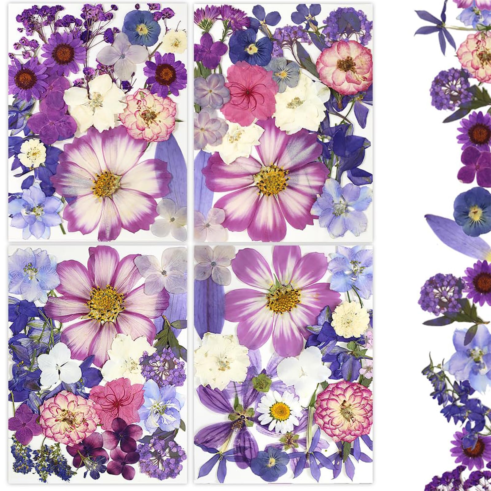 16 Fiori Secchi Pressati Per Resina E Fai Da Te - Set Naturale Per Decorazioni E Artigianato - Foto 5