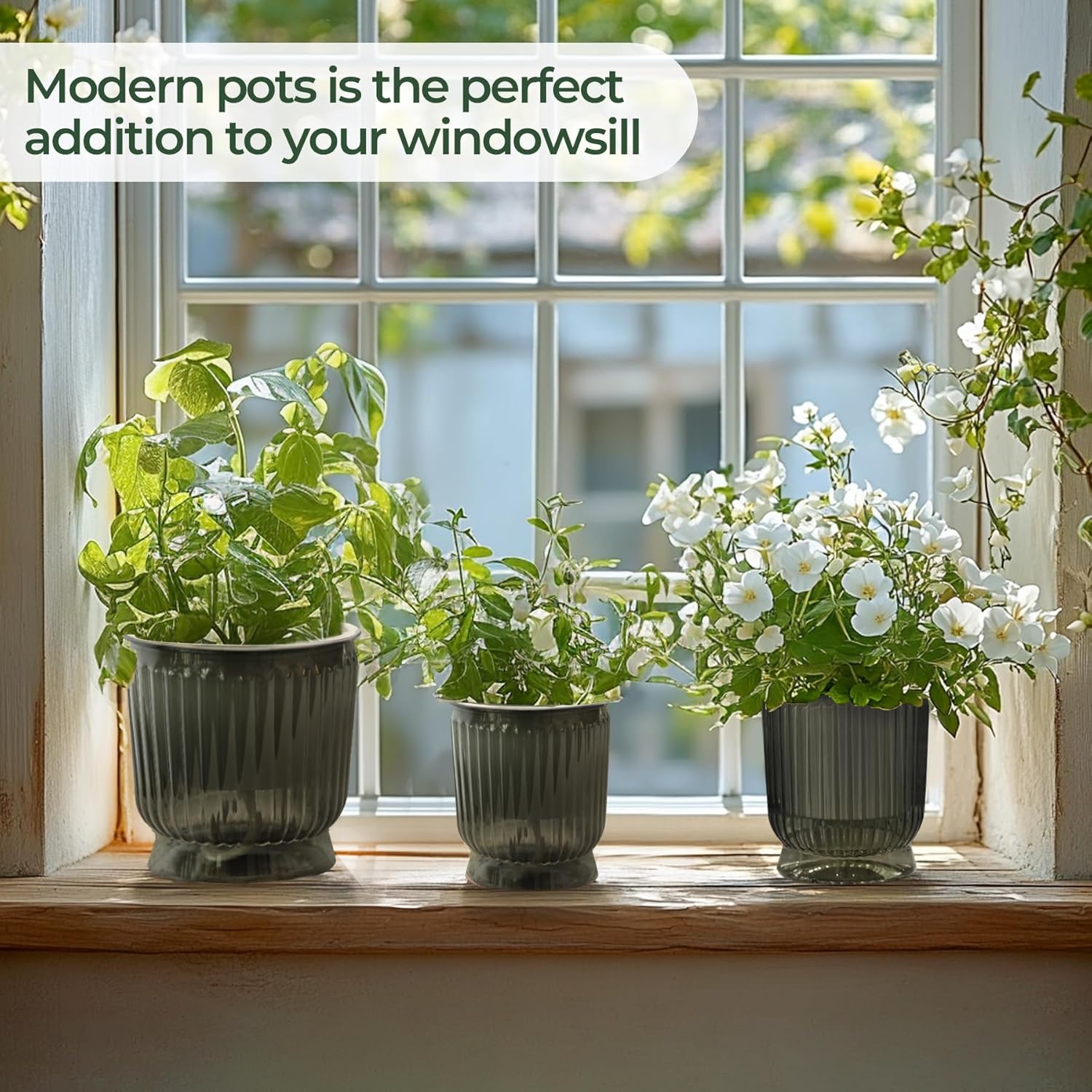 T4U 6 Inch Self Watering Pots for Indoor Plants, 4 Pack Self Watering Planter, Self Watering Pot with Reservoir, Small Self Watering Pots for Plants, African Violets (4 Pack, 6", Translucent Gray) - Image 7