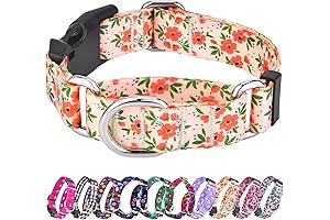 Haapaw Martingale Collar for Dogs: The Chic Floral Collar for All-Day Comfort and Control