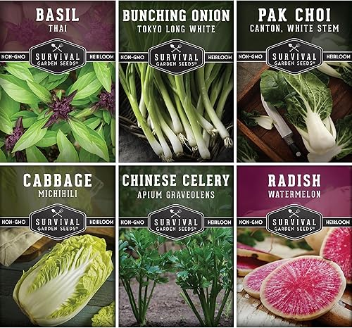 Miniatura 1 de Survival Garden Seeds - Bóveda de semillas asiáticas de recolección de verduras para plantar - Albahaca tailandesa, repollo napa, cantón pak choi,