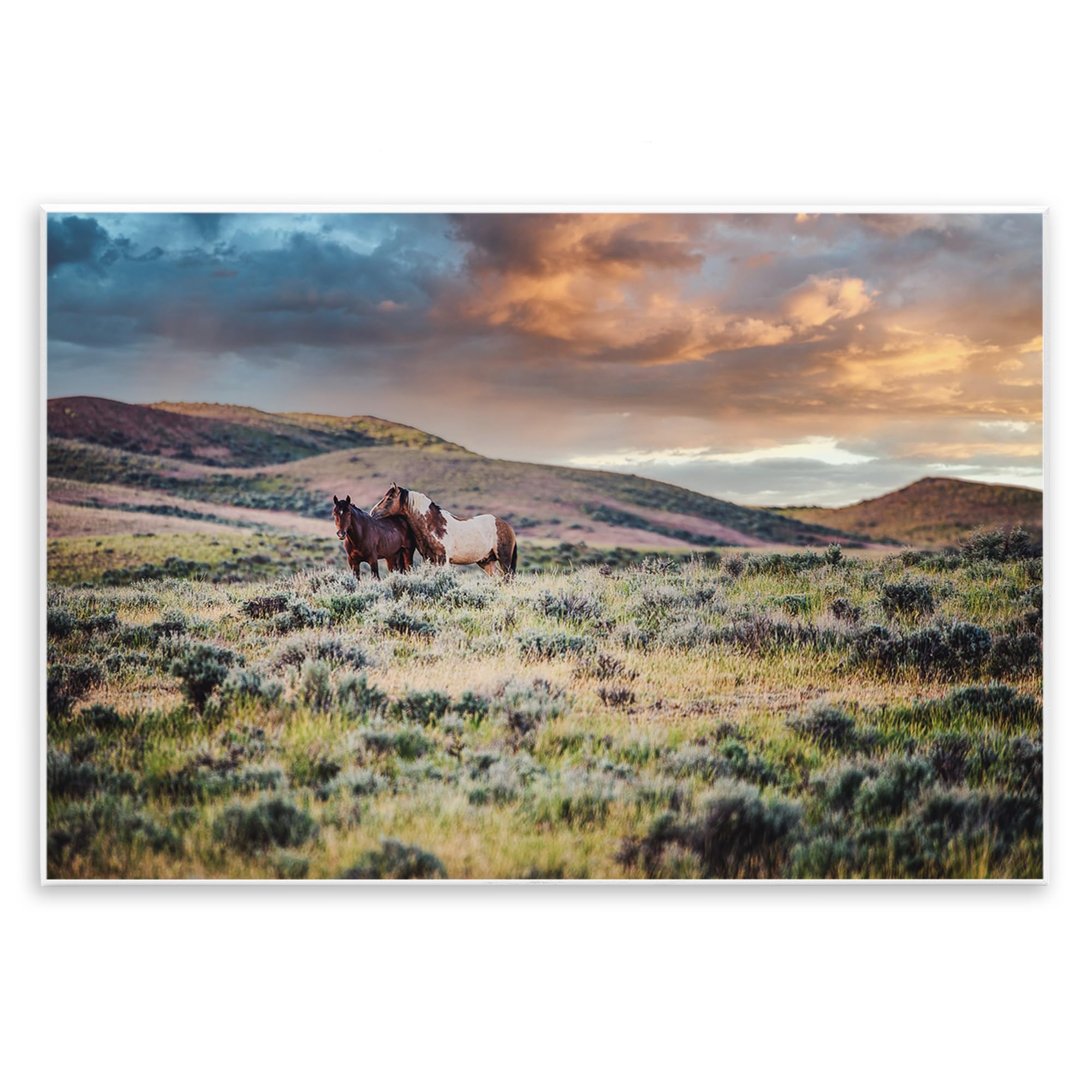 Stupell Industries 'Stay Close Horses', Wall Plaque Art, 15 x 10 Inches, Easy to Hang and Sturdy, Made in USA, by Tim West