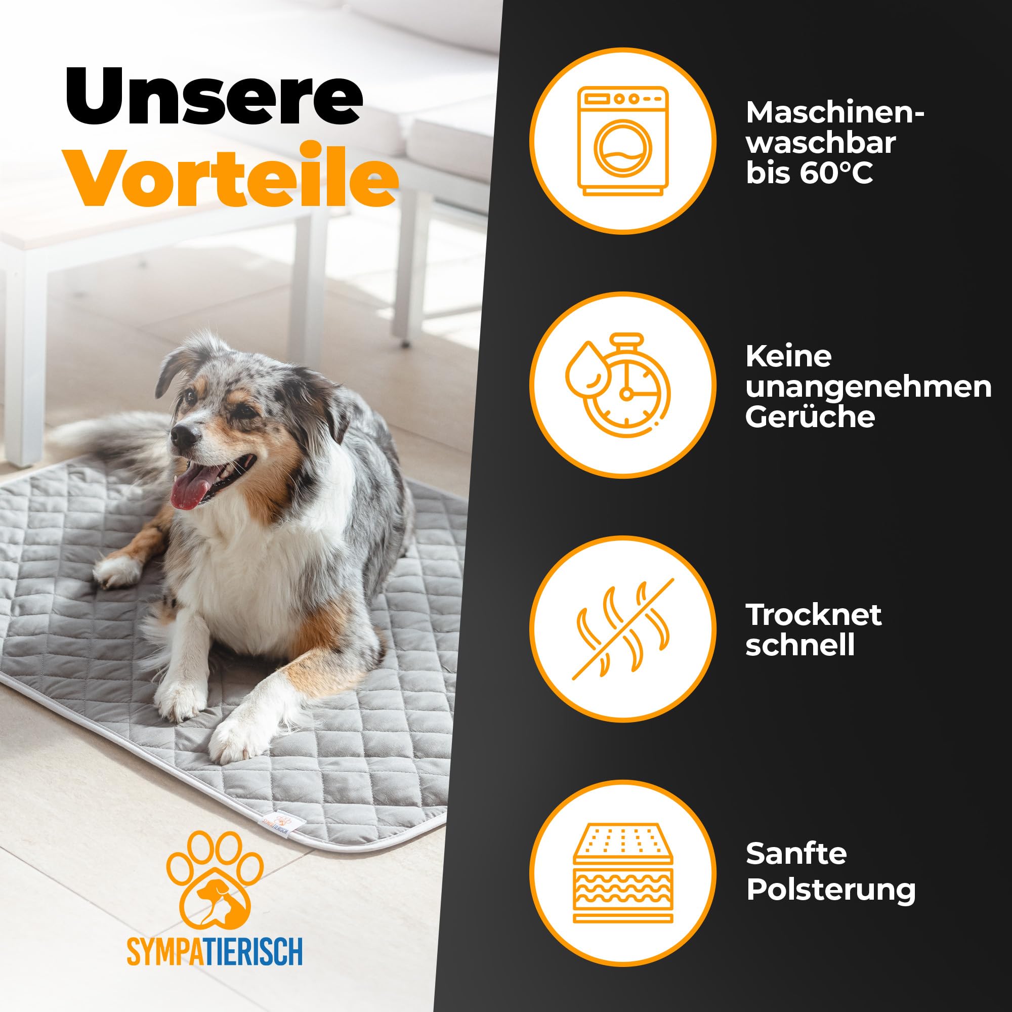 Manta para perros impermeable y lavable – Manta para perros de alta calidad para sofá, coche y suelo, 6 capas, resistente al agua, lavable a máquina hasta 60 °C – 210 x 160 cm