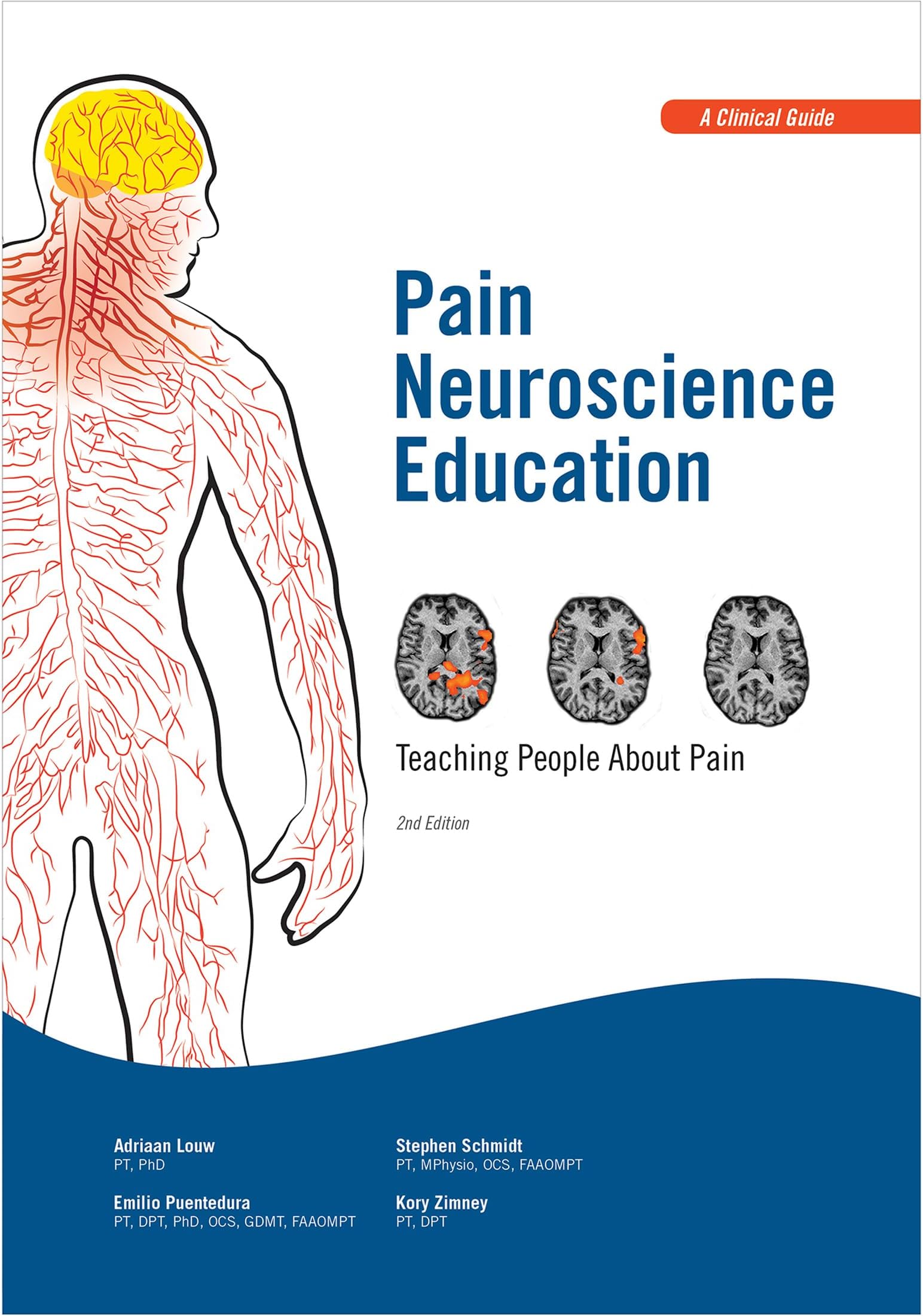 Pain Neuroscience Education: Teaching People About Pain