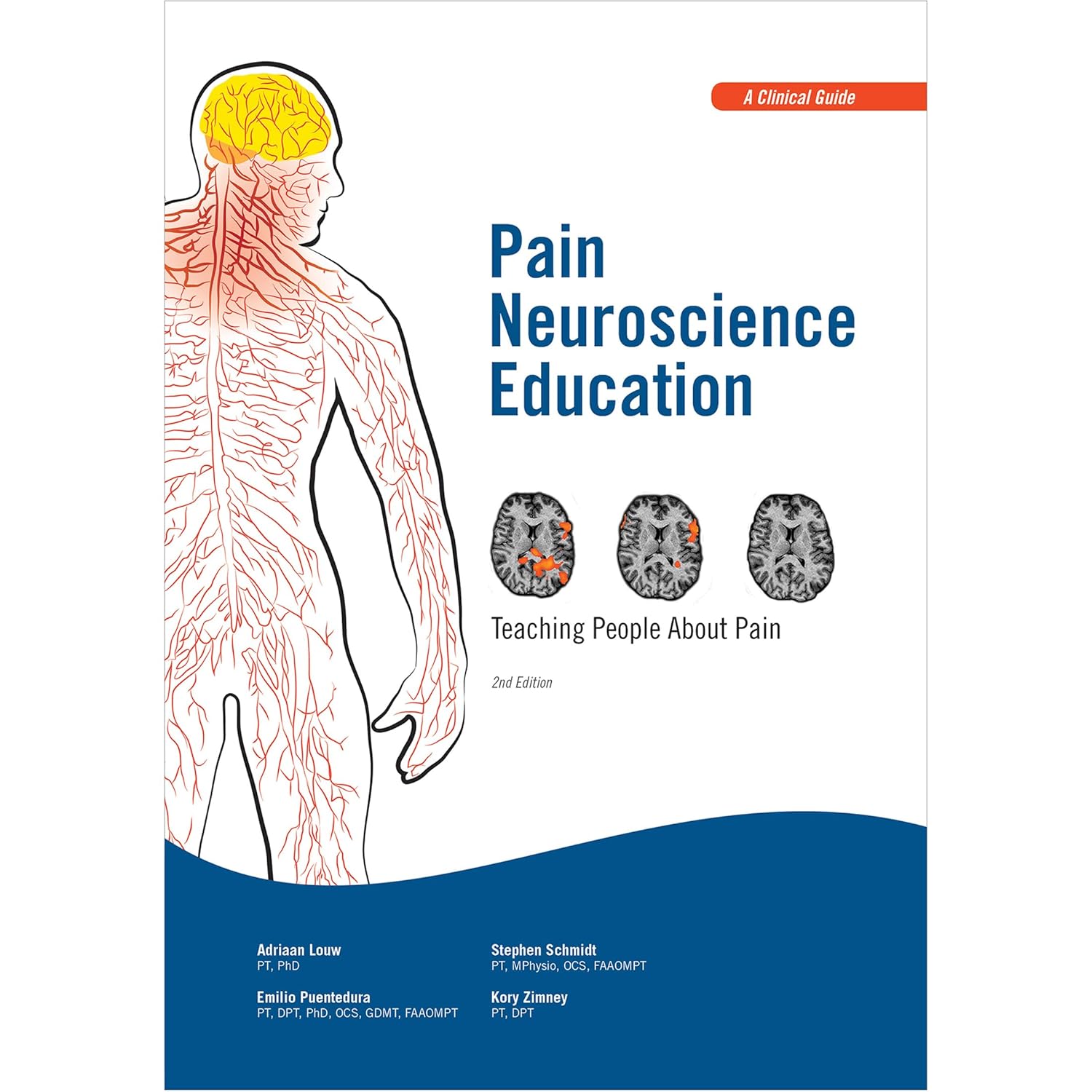 Pain Neuroscience Education: Teaching People About Pain      1st Edition