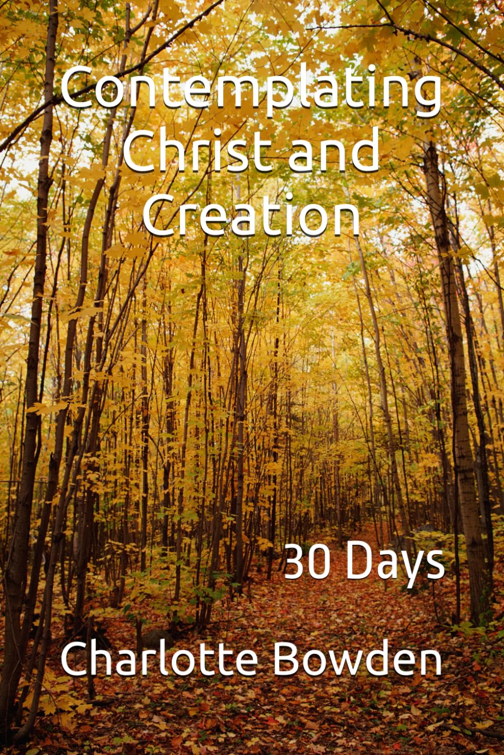 Contemplating Christ and Creation: 30 Days