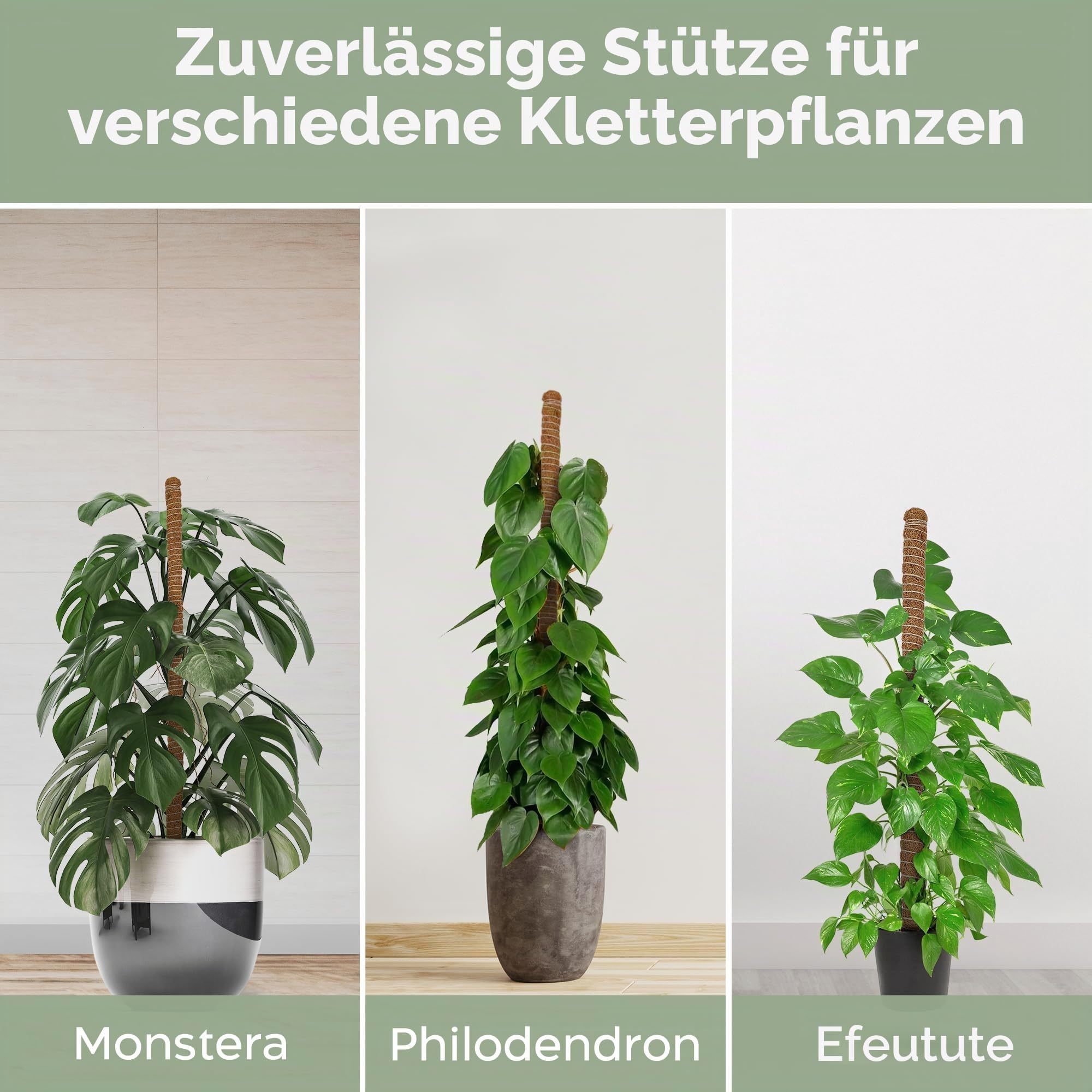 K-Brands 160 cm Moosstab für Monstera 2 Pack Biegsame Kokosfasern Pflanzenstütze für Kletterpflanzen -Rankhilfe für Monstera - Rankhilfe Blumenstab - Pflanzstab mit 3 m Pflanzenbinder