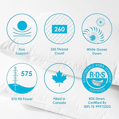 Miniatura 6 de Canadian Down & Feather Co. - Paquete de 2 almohadas firmes de plumón de ganso blanco tamaño King - 260 TC Shell 100% algodón - Relleno en Canadá