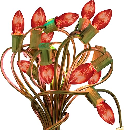 Miniatura 7 de EST. LEE DISPLAY L D 1902 Cadena de luces C7 de cerámica para interiores y exteriores, bombillas de repuesto constantes para Navidad para Halloween