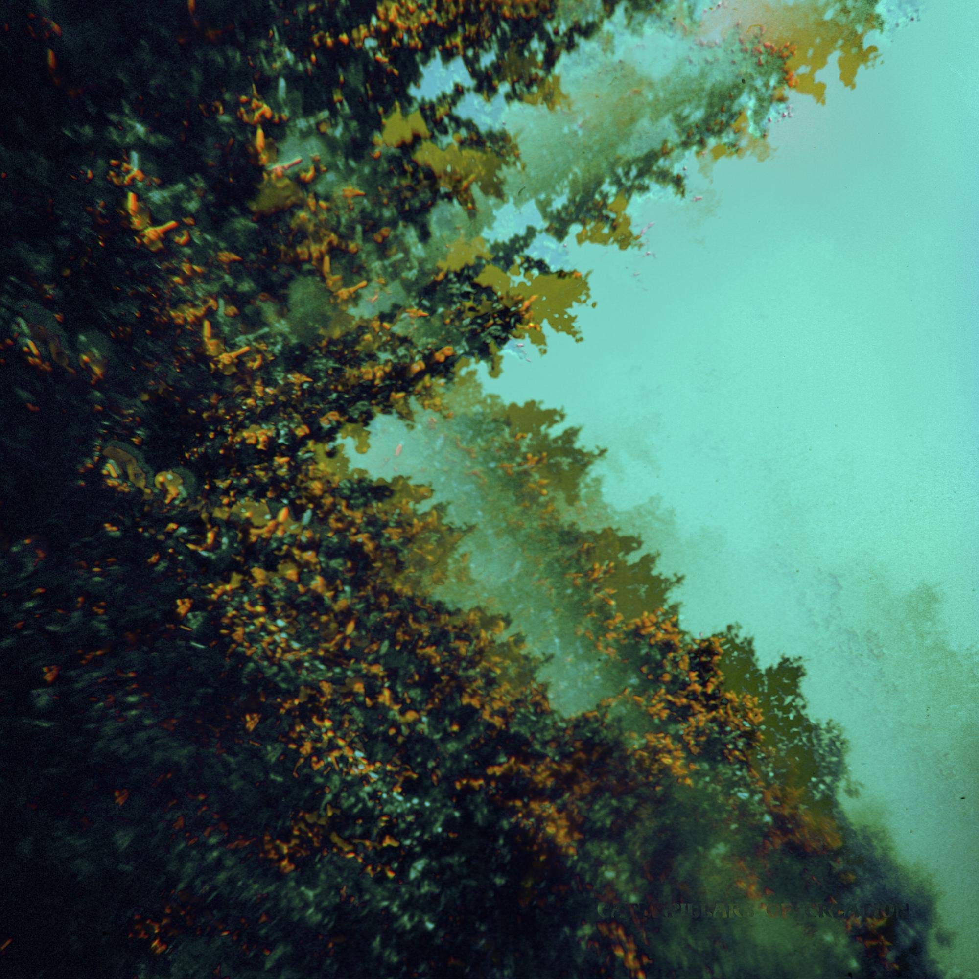 Caterpillars of Creation [VINYL]