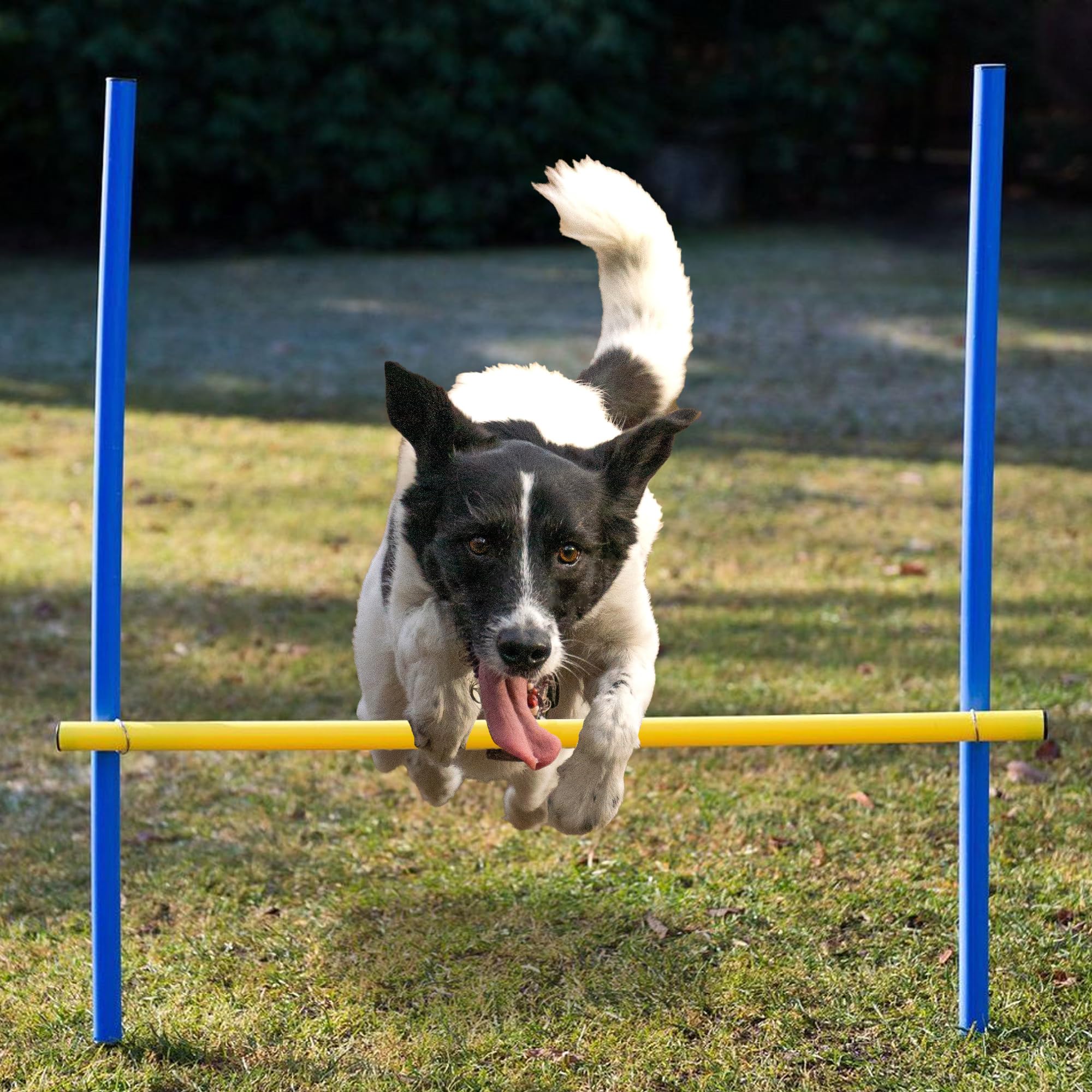 Lemodo Agility Set für individuelles Hundetraining, Hürden und Slalomstangen mit massiven Erdnägeln, Hundesport