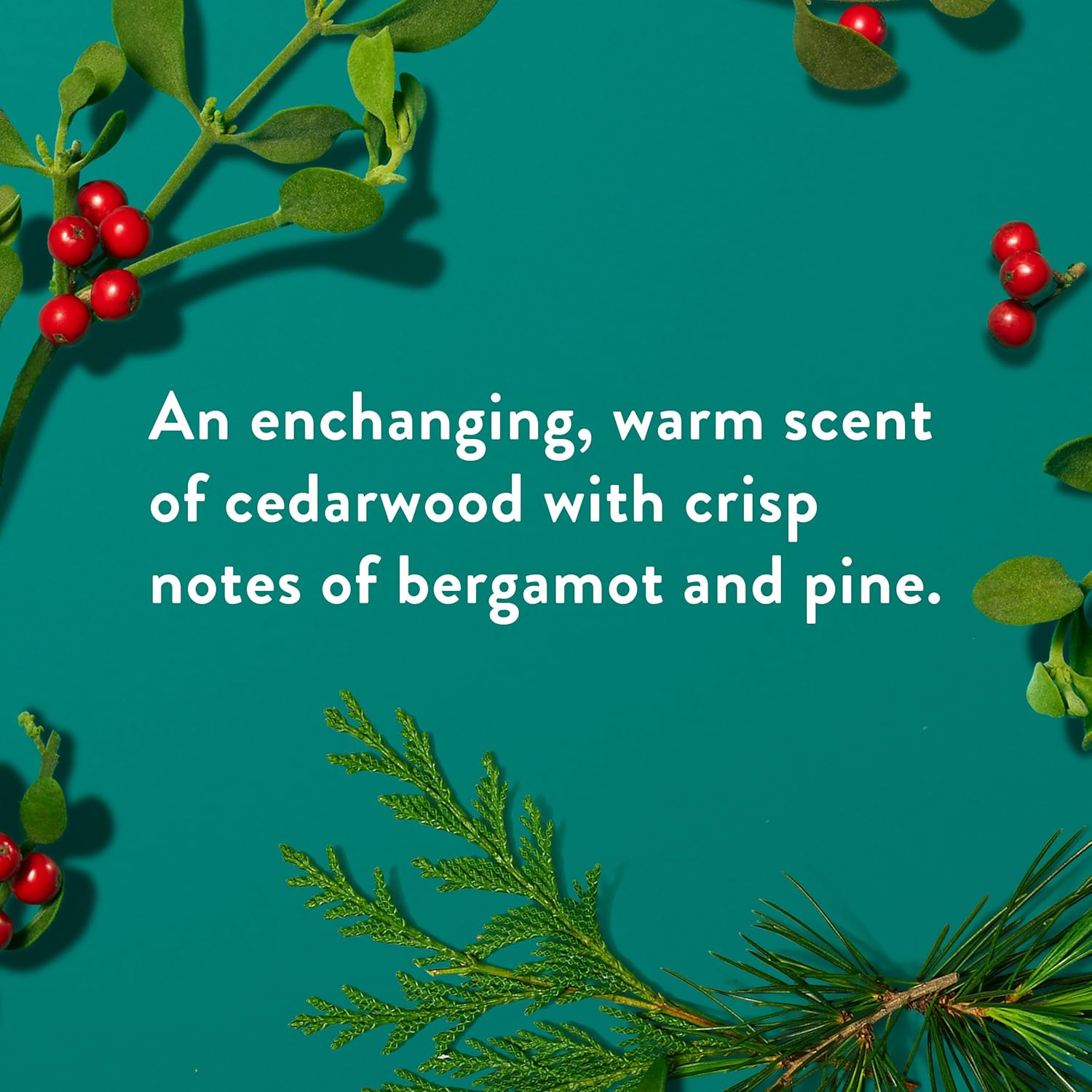 Native Body Wash, Holiday Edition, Fresh Mistletoe Scent, Contains Naturally Derived Ingredients | For Women & Men, Sulfate, Paraben, & Dye Free Leaving Skin Soft and Hydrated | 18 oz - Image 3