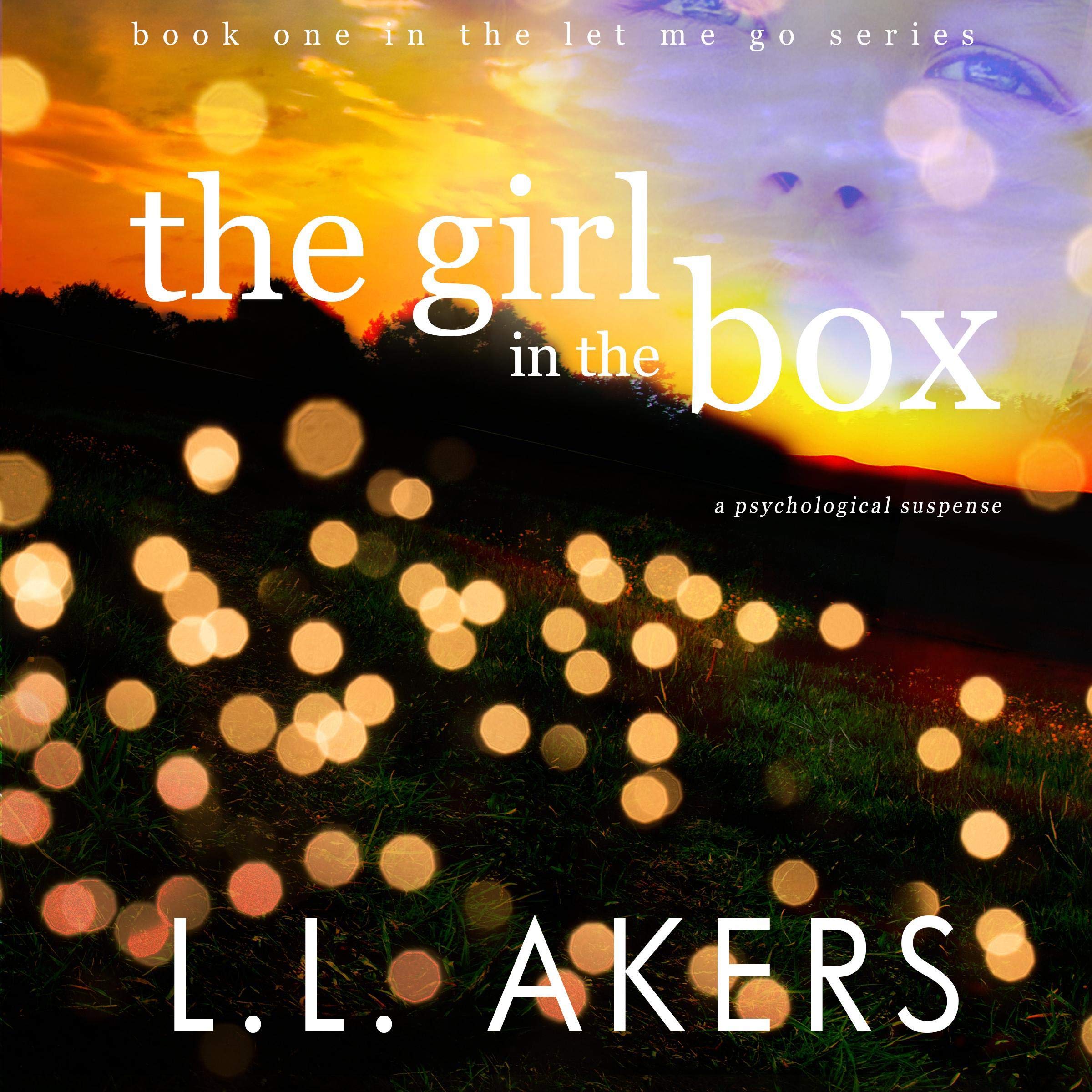 Cover art for The Girl in the Box