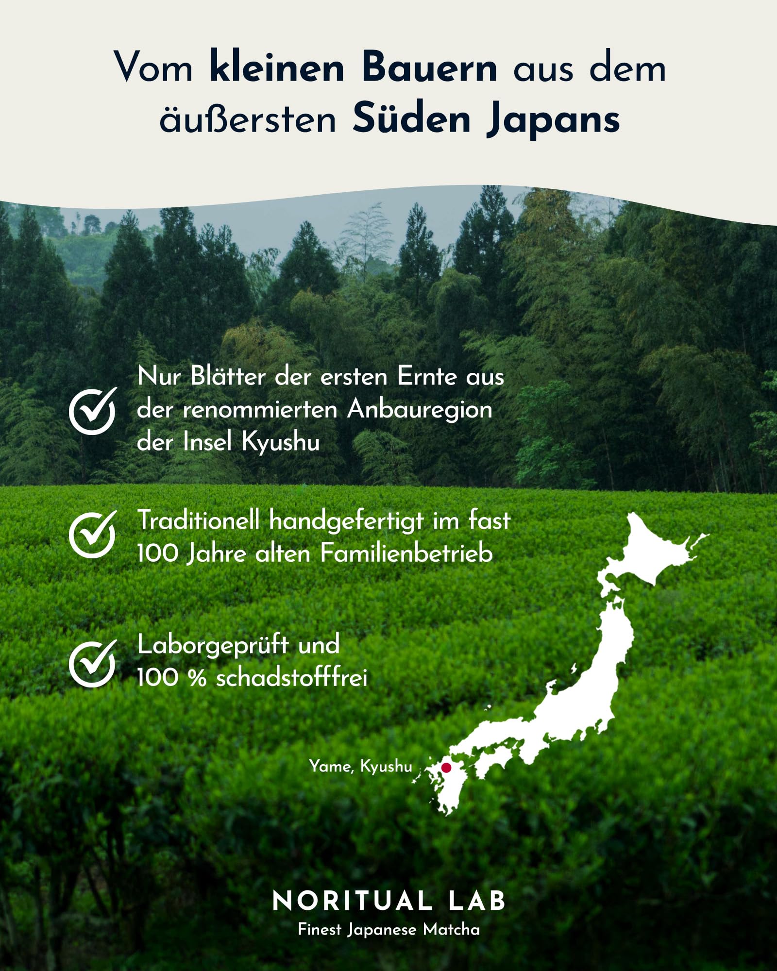 Ceremonial Matcha - Reines Matcha Pulver aus Japan - Ceremonial Grade - Original Matcha Grüntee - Erste Ernte - 100% Natürlich und Laborgeprüft