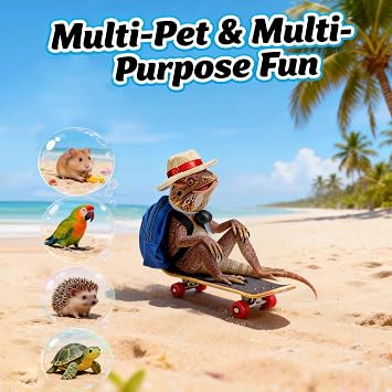 Bearded Dragons Accessories Toy Clothes 3 Pack Lizard Backpack Adjustable Hat and Mini Skateboard Fit for Lizard Bearded Dragons Hamster Parrot Little Turtle Reptiles Small Animals