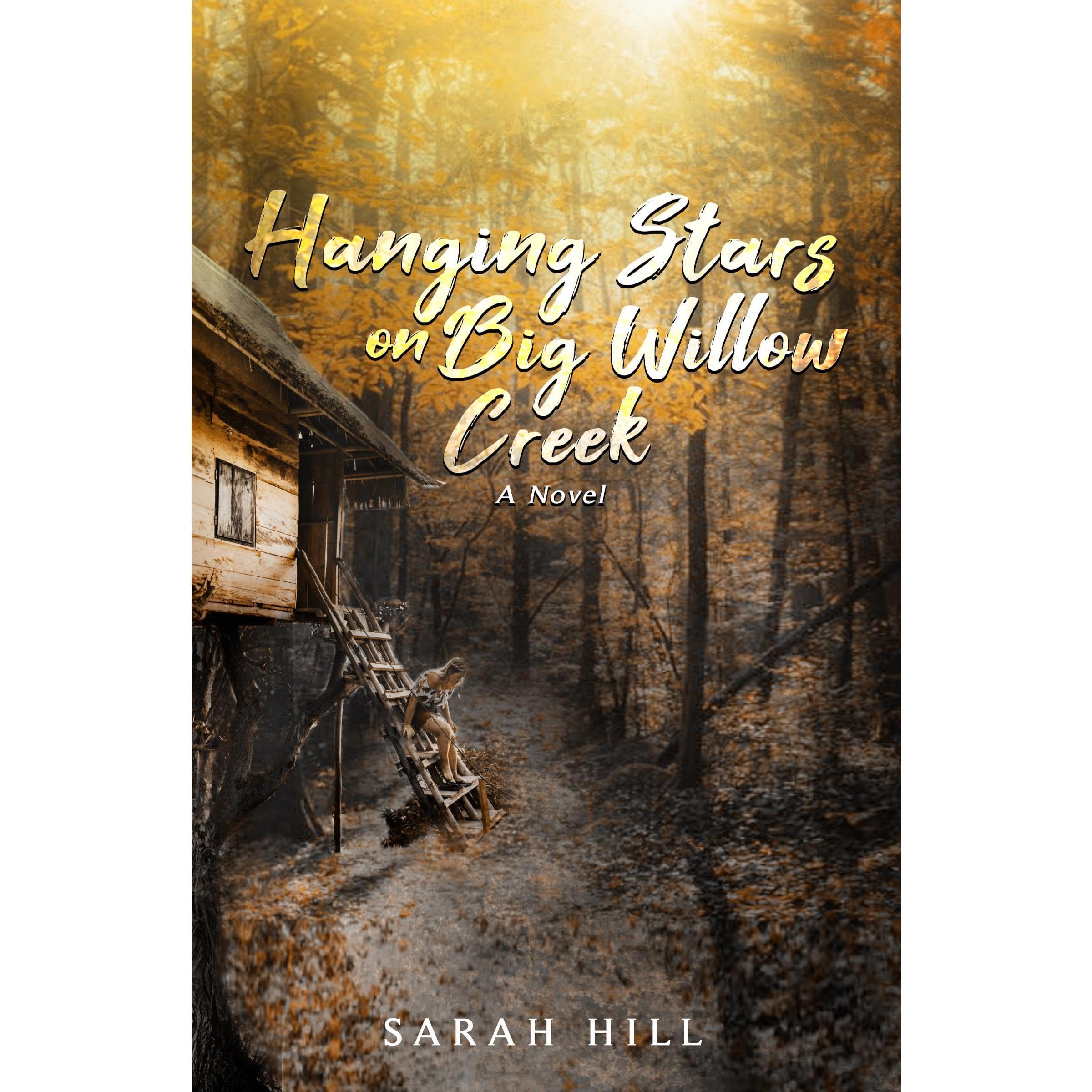 Hanging Stars On Big Willow Creek