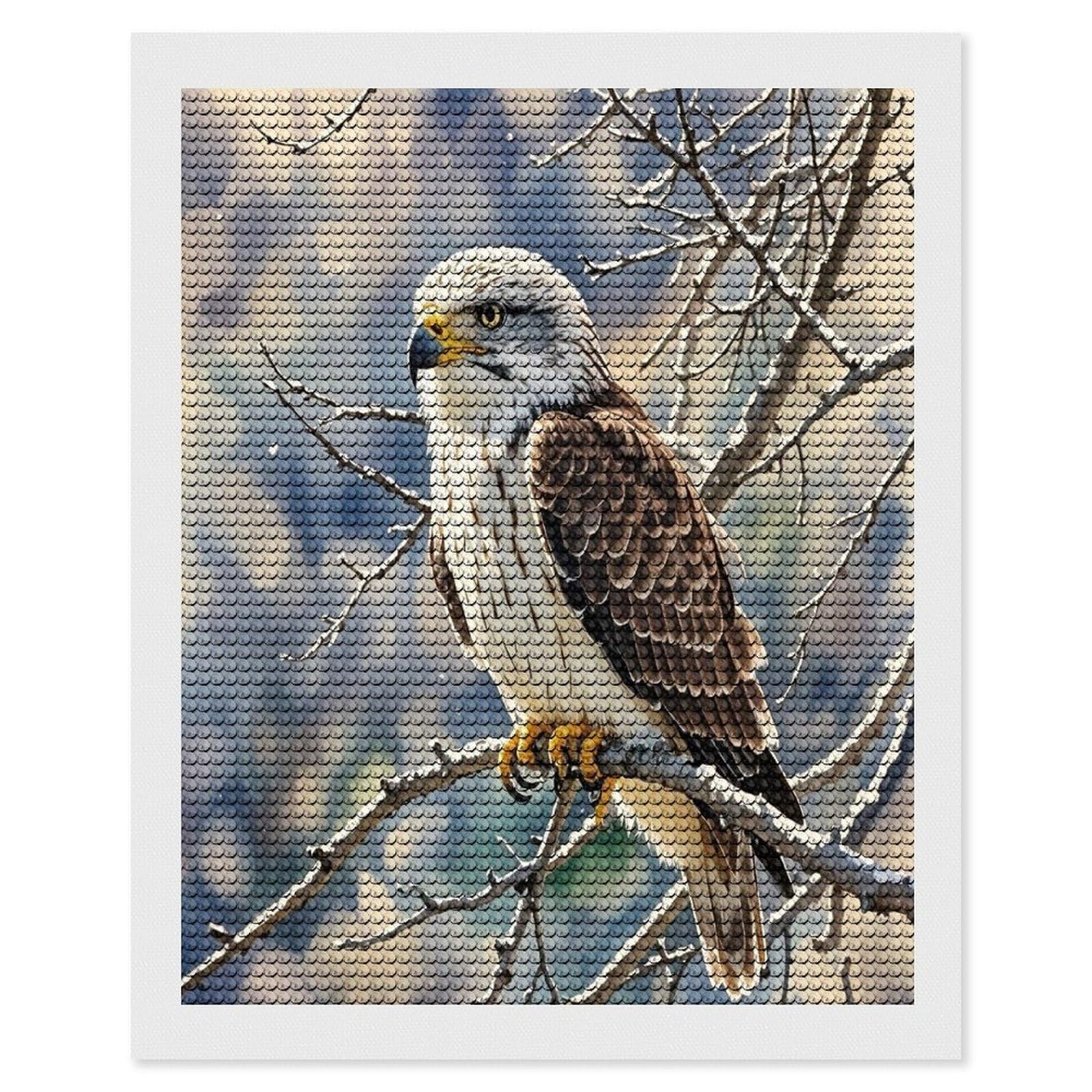 FekiLoot Hawk Diamond Painting Kits for Adults Full Round Drill Diamond Art Kits for Beginners 5D DIY Diamond Dots Paintings Diamonds Pictures Gem Art Home Wall Decor 16"x20"