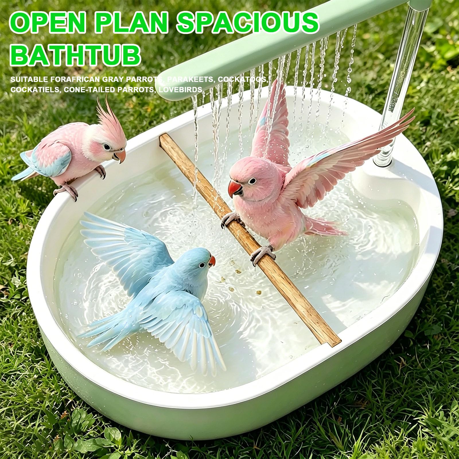 Ducha para pájaros, periquitos, ducha con bomba USB, ciclo de agua, para periquitos, periquitos, cacatúas, verde