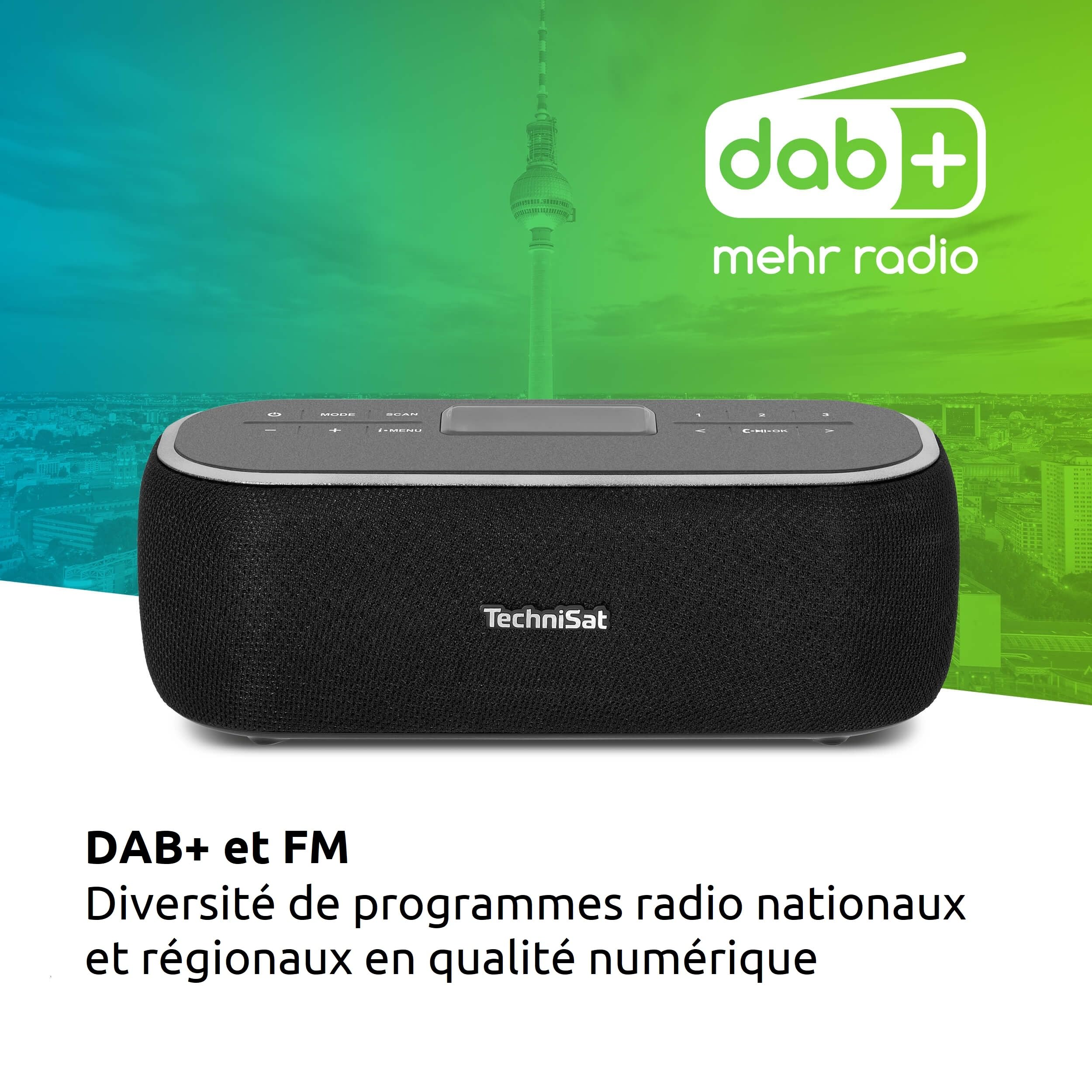 TechniSat VIOLA BT 1 - enceinte Bluetooth portable avec radio numérique DAB+ (FM, horloge, minuterie, mémoire des favoris, écran LCD, fonction mains libres, AUX, batterie rechargeable, 6W) noir/gris