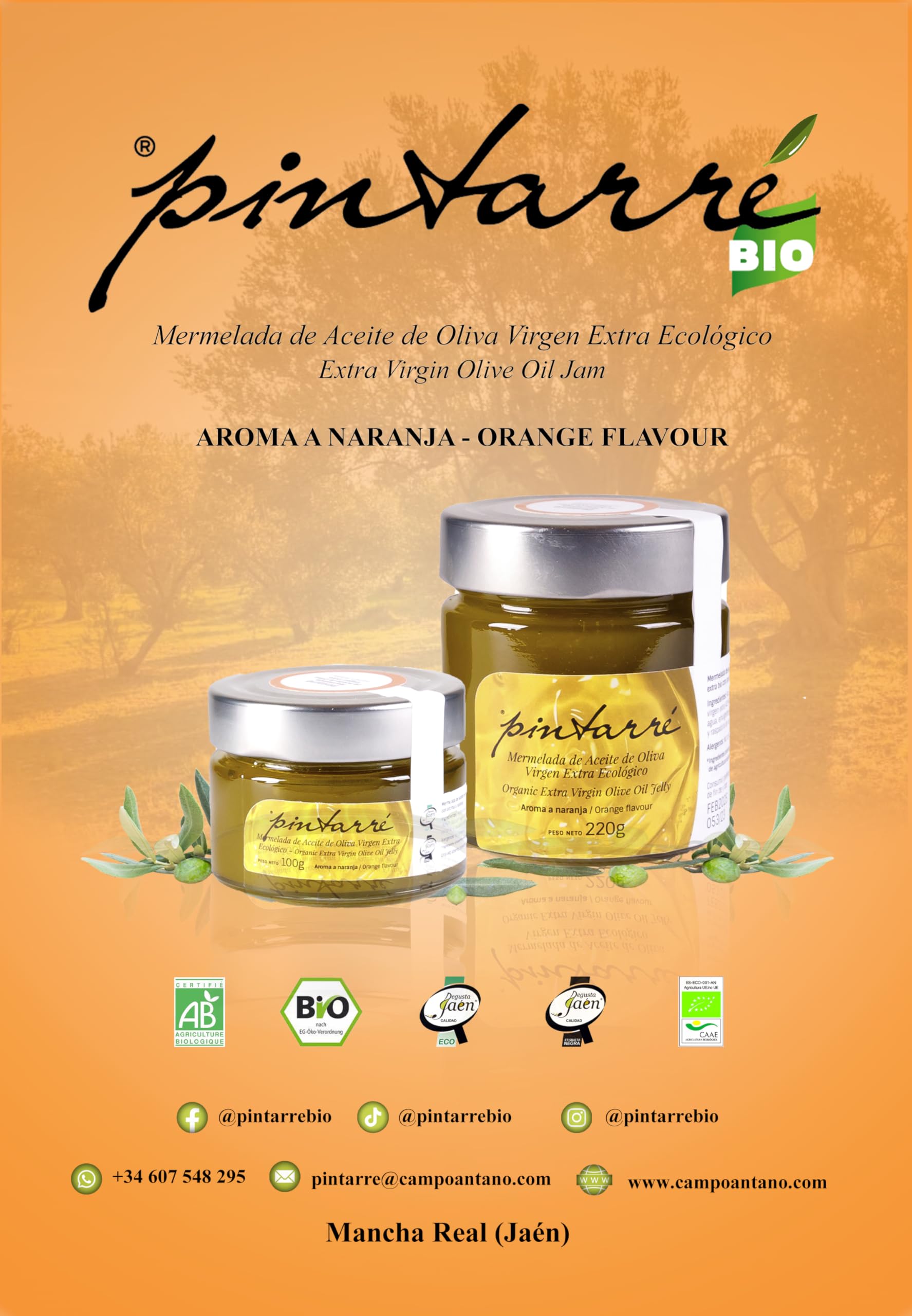 Pintarré | Mermelada de AOVE Ecológico con Naranja - Tarro 220 gr.