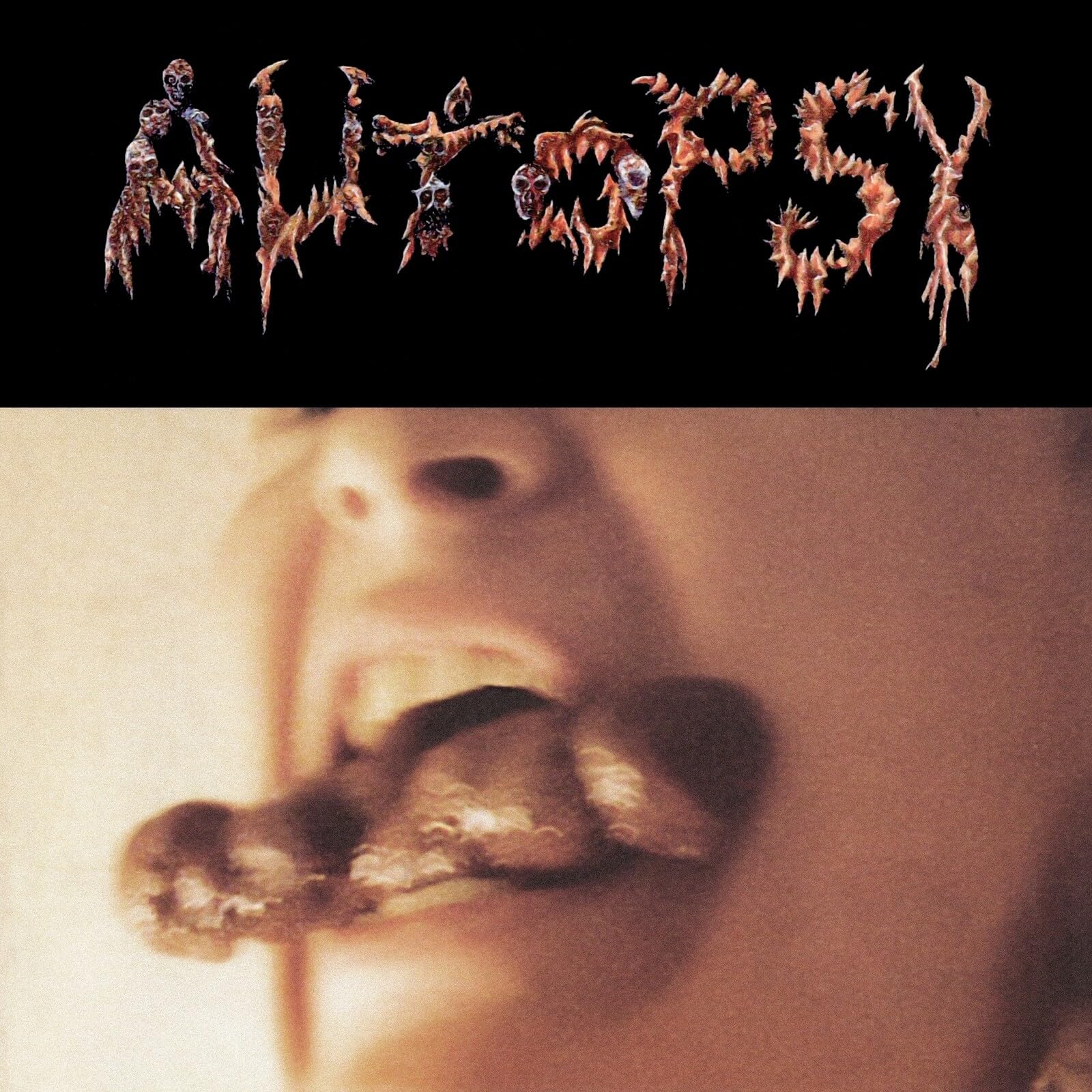 Shitfun (30th Anniversary) [VINYL]