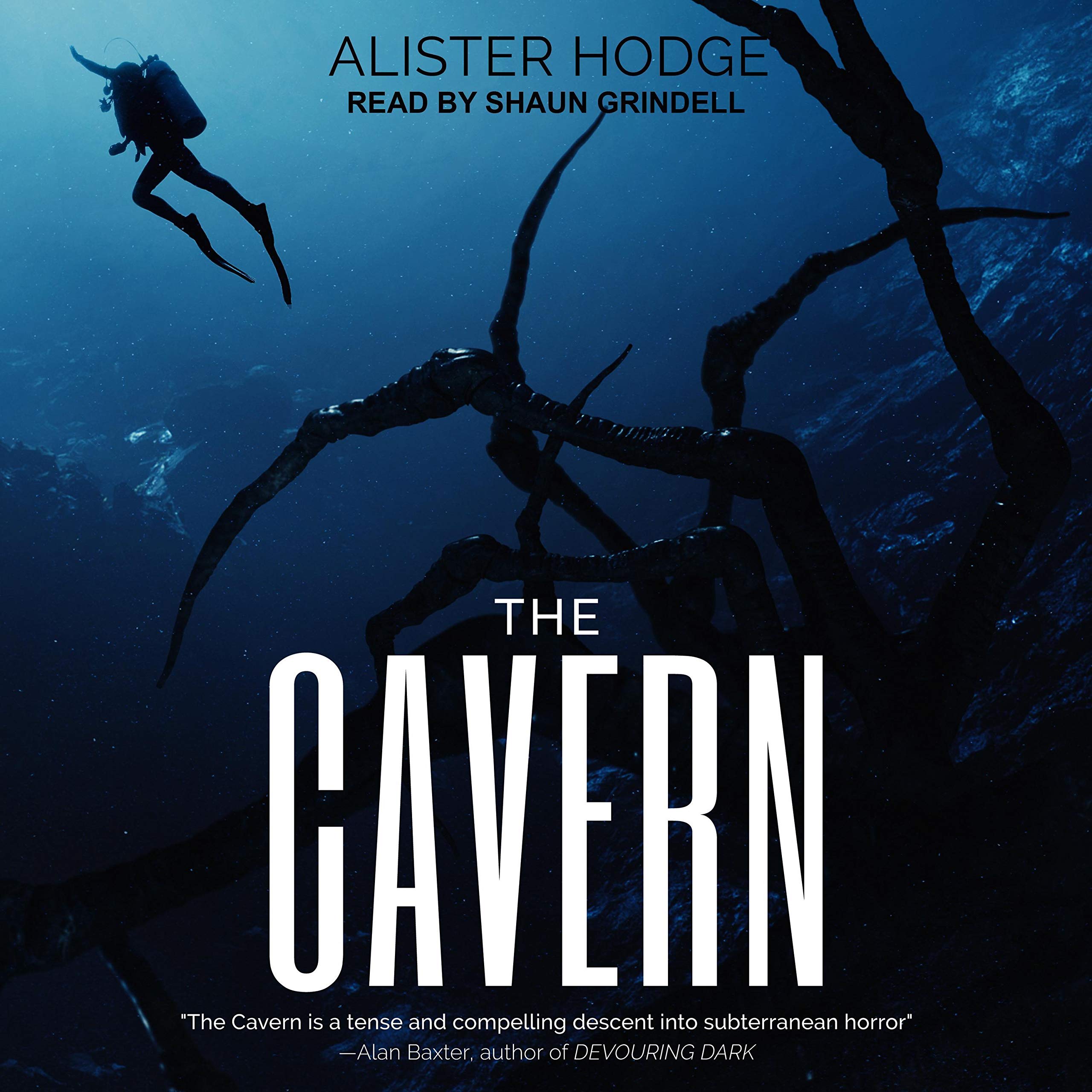 Cover art for The Cavern