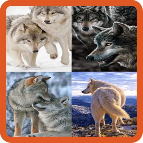 Animated Wolf GIF