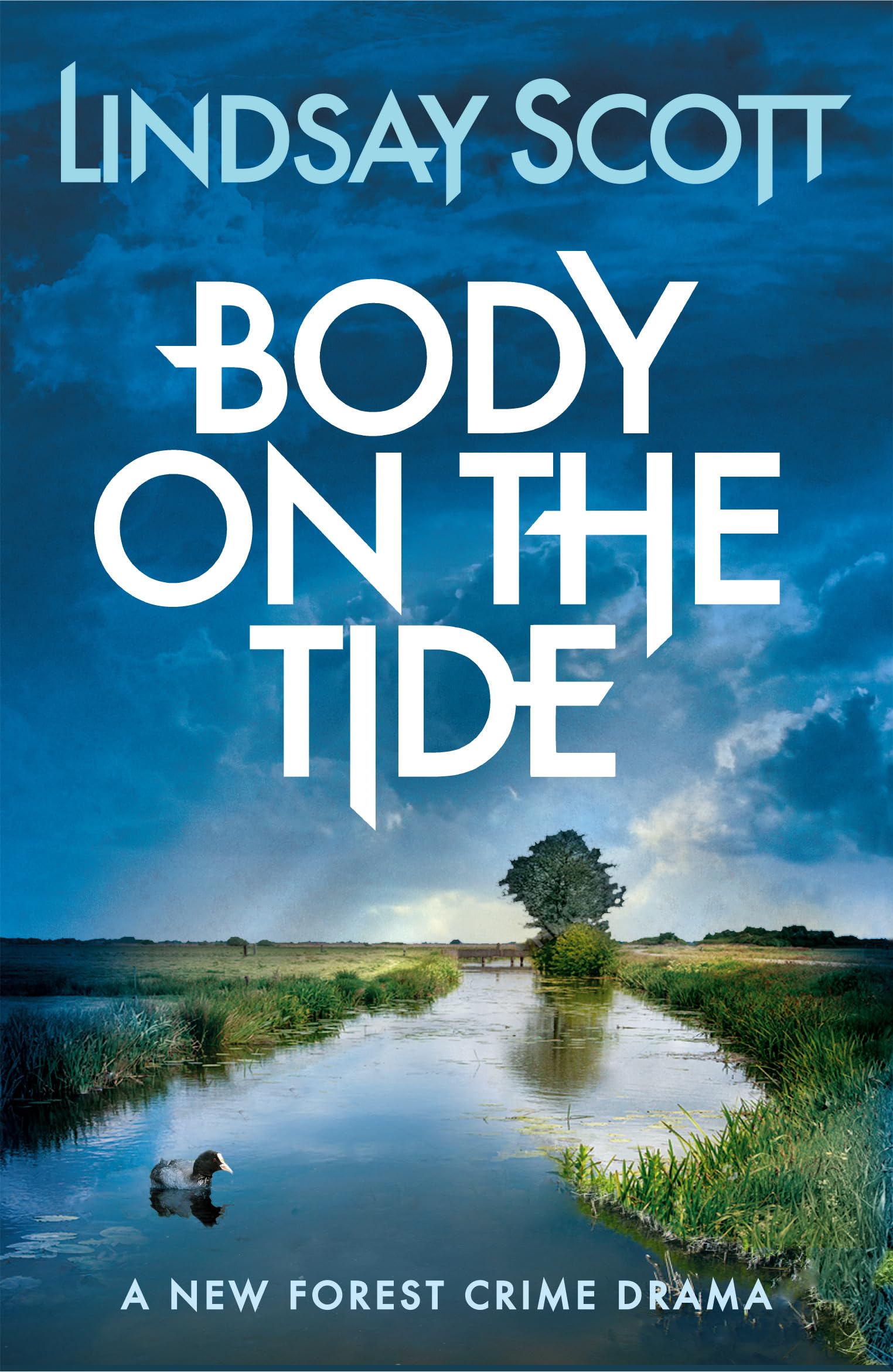Body on the Tide (New Forest Crime Drama Book 2)
