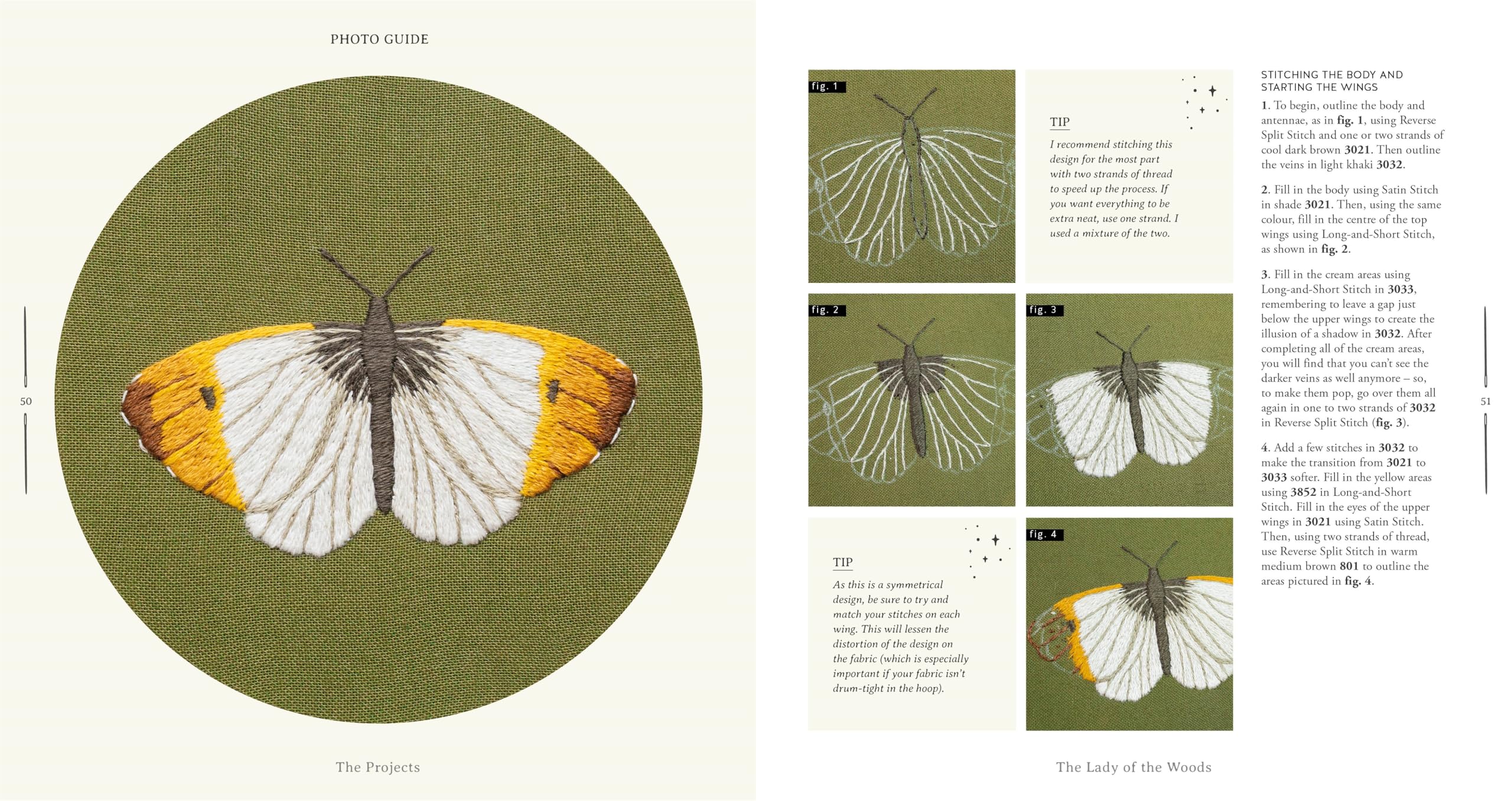 Paint with Thread: In the Garden: A Step-By-Step Guide to Embroidery