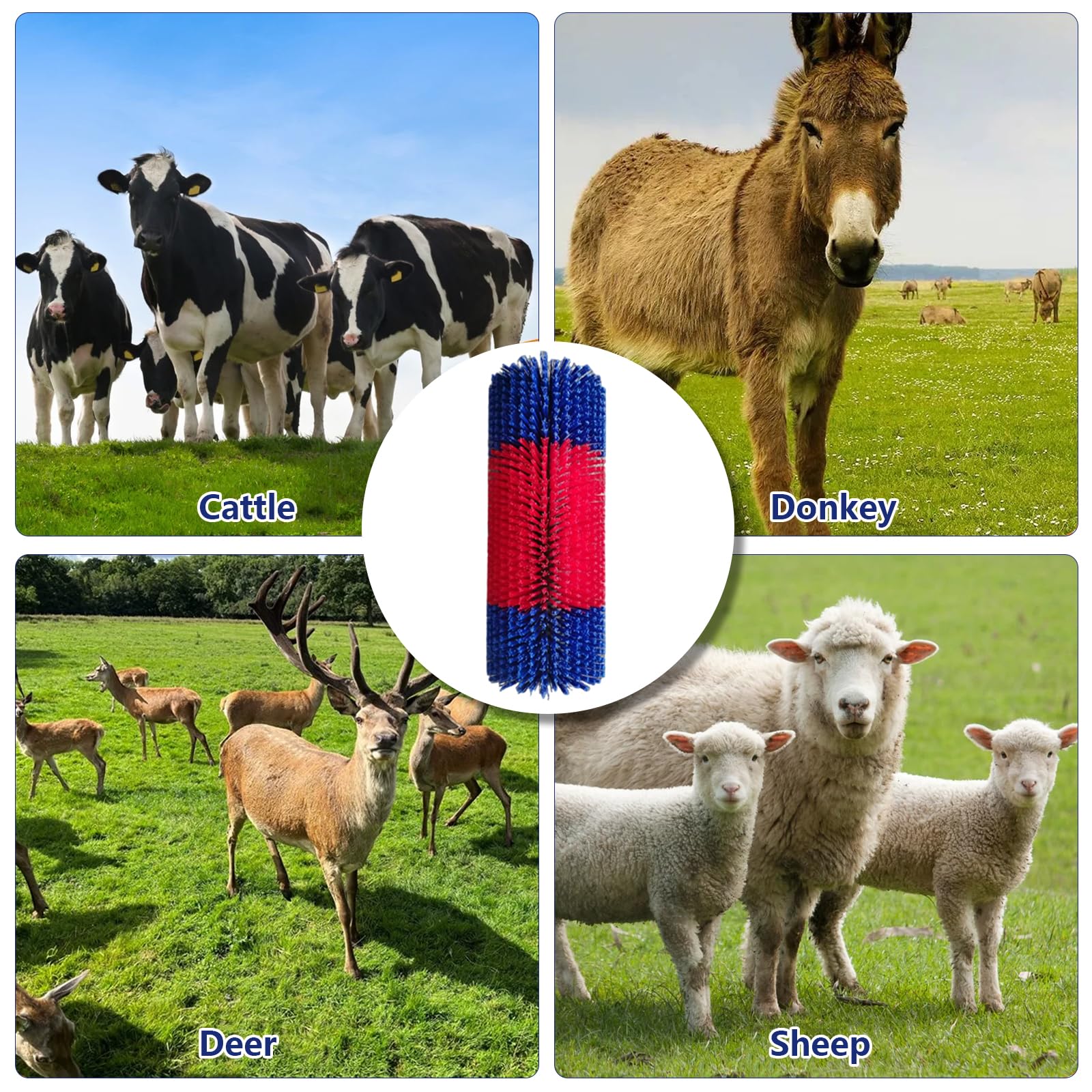 Cepillos de masaje para caballos, cepillos rascadores para caballos, vacas y cabras, cepillo para tabla de rascar, tabla antipicazón, rascador de espalda, juego de cepillos de masaje, cepillos de