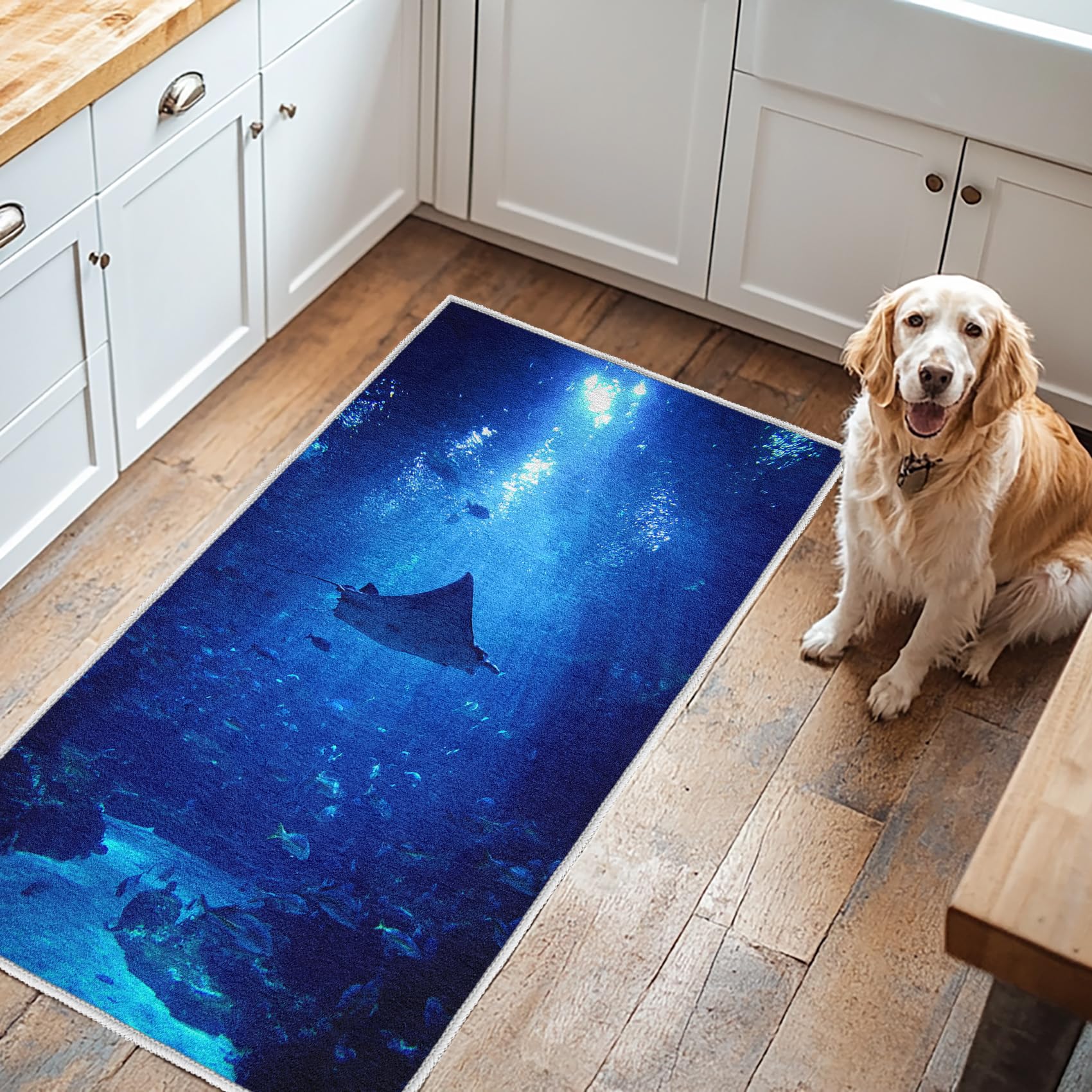 Generisch Unterwasserwelt Teppich Läufer 50x150, Meeresleben Teppiche rutschfest Kurzflor Waschbar Bettumrandung Schlafzimmer, Blau Meer Teppichläufer für Küche Flur Eingangsbereich