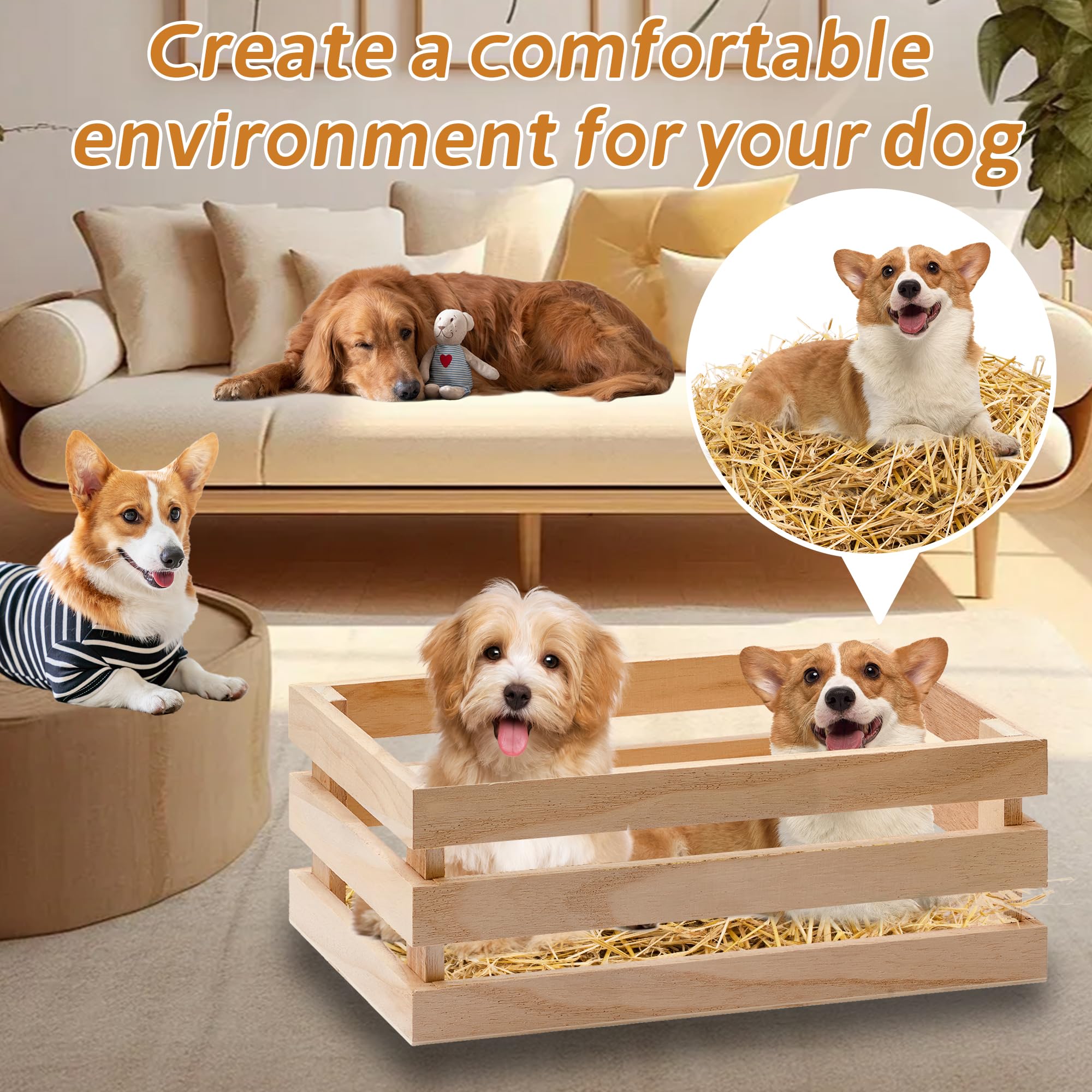 WNJ Natural Wheat Straw - 1 LB Dry Straw, Soft 100% Natural Straw Bale for Animal Bedding, Garden Mulch, Compost & Stray Cats Dogs Poultry, and Grass Cover