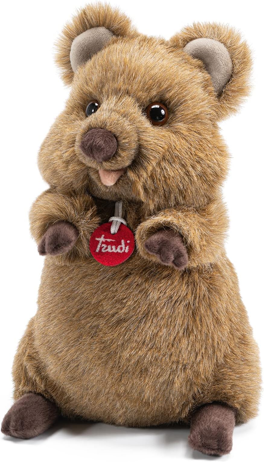27145 Quokka Arturo, Brown