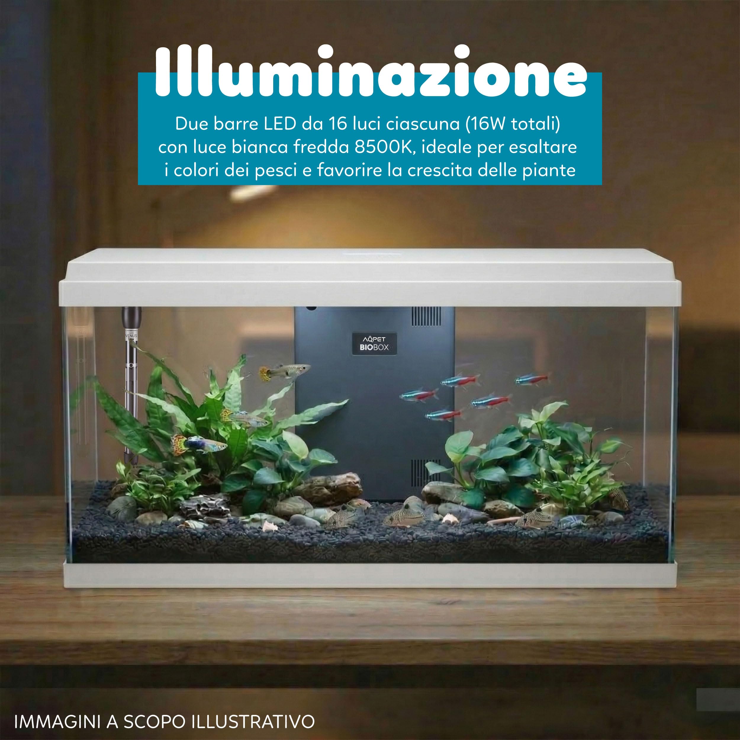 Aqpet Acquario in Vetro per Pesci tropicali Completo di Accessori Filtro Luce Simply, 100 80x32x47 cm 100 Litri, Bianco