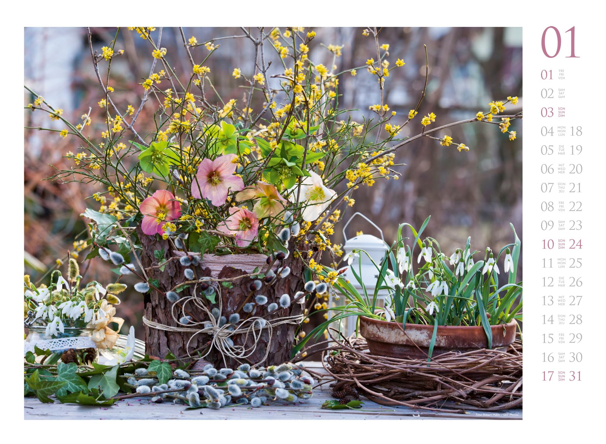 Blumenzauber Kalender 2027: Farbenfroher Blumen-Kalender im Querformat (45x33 cm) | Für Florist:innen und Garten-Fans